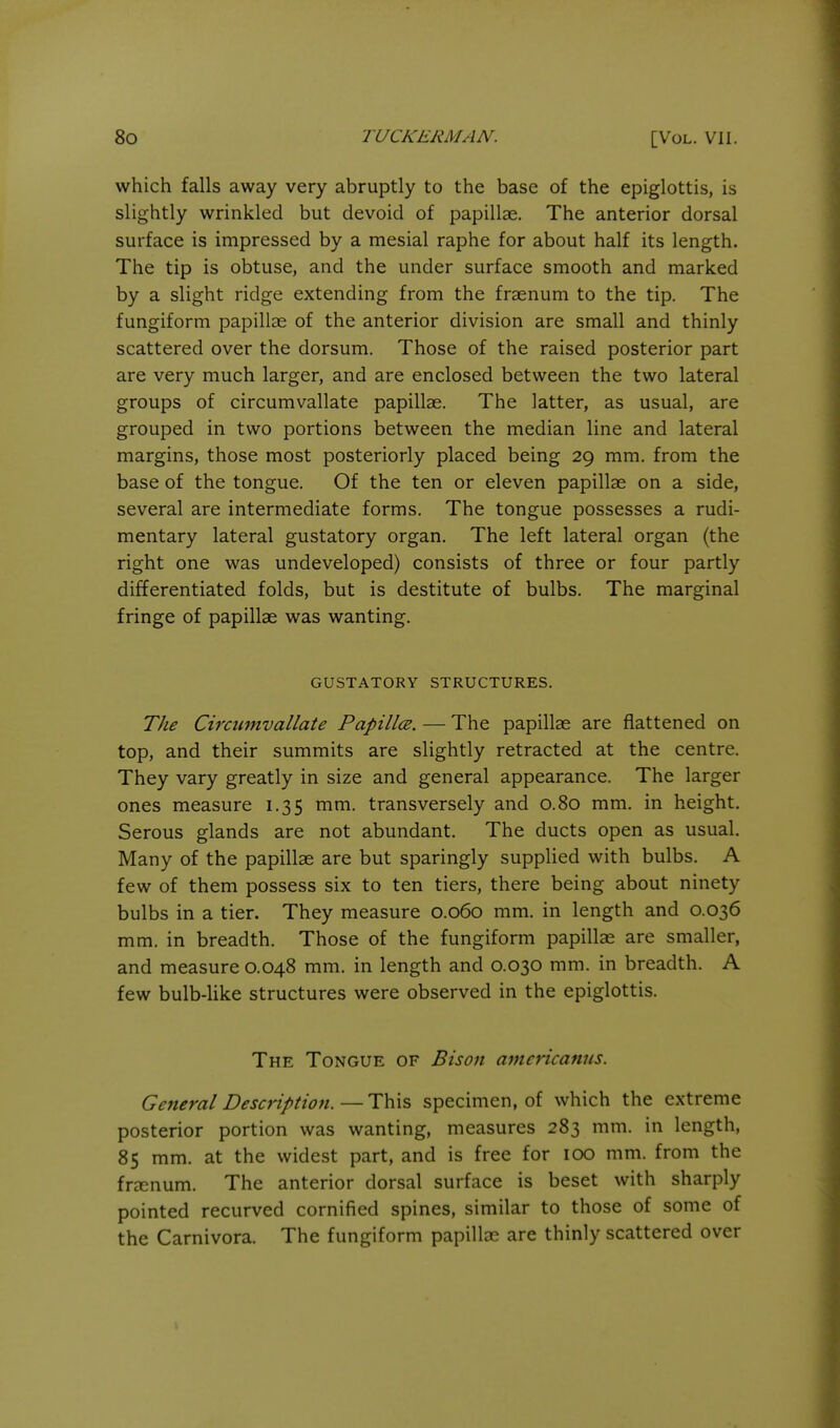 which falls away very abruptly to the base of the epiglottis, is slightly wrinkled but devoid of papillae. The anterior dorsal surface is impressed by a mesial raphe for about half its length. The tip is obtuse, and the under surface smooth and marked by a slight ridge extending from the frsenum to the tip. The fungiform papillae of the anterior division are small and thinly scattered over the dorsum. Those of the raised posterior part are very much larger, and are enclosed between the two lateral groups of circumvallate papillae. The latter, as usual, are grouped in two portions between the median line and lateral margins, those most posteriorly placed being 29 mm. from the base of the tongue. Of the ten or eleven papillae on a side, several are intermediate forms. The tongue possesses a rudi- mentary lateral gustatory organ. The left lateral organ (the right one was undeveloped) consists of three or four partly differentiated folds, but is destitute of bulbs. The marginal fringe of papillae was wanting. GUSTATORY STRUCTURES. The Circumvallate Papillce. — The papillae are flattened on top, and their summits are slightly retracted at the centre. They vary greatly in size and general appearance. The larger ones measure 1.35 mm. transversely and 0.80 mm. in height. Serous glands are not abundant. The ducts open as usual. Many of the papillae are but sparingly supplied with bulbs. A few of them possess six to ten tiers, there being about ninety bulbs in a tier. They measure 0.060 mm. in length and 0.036 mm. in breadth. Those of the fungiform papillae are smaller, and measure 0.048 mm. in length and 0.030 mm. in breadth. A few bulb-Uke structures were observed in the epiglottis. The Tongue of Bison amcncanns. General Description.—This specimen, of which the extreme posterior portion was wanting, measures 283 mm. in length, 85 mm. at the widest part, and is free for 100 mm. from the frsenum. The anterior dorsal surface is beset with sharply pointed recurved cornified spines, similar to those of some of the Carnivora. The fungiform papillae are thinly scattered over