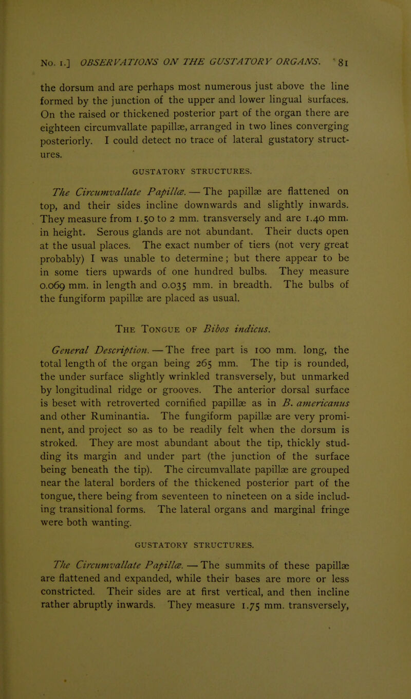 the dorsum and are perhaps most numerous just above the line formed by the junction of the upper and lower lingual surfaces. On the raised or thickened posterior part of the organ there are eighteen circumvallate papillae, arranged in two lines converging posteriorly. I could detect no trace of lateral gustatory struct- ures. GUSTATORY STRUCTURES. The Circumvallate Papillce. — The papillae are flattened on top, and their sides incline downwards and slightly inwards. They measure from 1.50 to 2 mm. transversely and are 1.40 mm. in height. Serous glands are not abundant. Their ducts open at the usual places. The exact number of tiers (not very great probably) I was unable to determine; but there appear to be in some tiers upwards of one hundred bulbs. They measure 0.069 length and 0.035 mm. in breadth. The bulbs of the fungiform papillae are placed as usual. The Tongue of Bibos indicus. General Description.—The free part is 100 mm. long, the total length of the organ being 265 mm. The tip is rounded, the under surface slightly wrinkled transversely, but unmarked by longitudinal ridge or grooves. The anterior dorsal surface is beset with retroverted cornified papillae as in B. americaniis and other Ruminantia. The fungiform papillae are very promi- nent, and project so as to be readily felt when the dorsum is stroked. They are most abundant about the tip, thickly stud- ding its margin and under part (the junction of the surface being beneath the tip). The circumvallate papillae are grouped near the lateral borders of the thickened posterior part of the tongue, there being from seventeen to nineteen on a side includ- ing transitional forms. The lateral organs and marginal fringe were both wanting. GUSTATORY STRUCTURES. The Circumvallate Papillce.—The summits of these papillae are flattened and expanded, while their bases are more or less constricted. Their sides are at first vertical, and then incline rather abruptly inwards. They measure 1.75 mm. transversely,