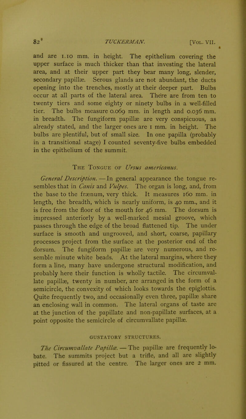 82* TUCKERMAN. [Vol. VII. and are i.io mm. in height. The epithelium covering the upper surface is much thicker than that investing the lateral area, and at their upper part they bear many long, slender, secondary papillae. Serous glands are not abundant, the ducts opening into the trenches, mostly at their deeper part. Bulbs occur at all parts of the lateral area. There are from ten to twenty tiers and some eighty or ninety bulbs in a well-filled tier. The bulbs measure 0.069 length and 0.036 mm. in breadth. The fungiform papillae are very conspicuous, as already stated, and the larger ones are i mm. in height. The bulbs are plentiful, but of small size. In one papilla (probably in a transitional stage) I counted seventy-five bulbs embedded in the epithelium of the summit. The Tongue of Ursus americanus. General Description. — In general appearance the tongue re- sembles that in Canis and Vidpes. The organ is long, and, from the base to the fraenum, very thick. It measures 160 mm. in length, the breadth, which is nearly uniform, is 40 mm., and it is free from the floor of the mouth for 46 mm. The dorsum is impressed anteriorly by a well-marked mesial groove, which passes through the edge of the broad flattened tip. The under surface is smooth and ungrooved, and short, coarse, papillary processes project from the surface at the posterior end of the dorsum. The fungiform papillae are very numerous, and re- semble minute white beads. At the lateral margins, where they form a line, many have undergone structural modification, and probably here their function is wholly tactile. The circumval- late papillae, twenty in number, are arranged in the form of a semicircle, the convexity of which looks towards the epiglottis. Quite frequently two, and occasionally even three, papillae share an enclosing wall in common. The lateral organs of taste are at the junction of the papillate and non-papillate surfaces, at a point opposite the semicircle of circumvallate papillae. GUSTATORY STRUCTURES. The Circumvallate PapillcB. — The papillae are frequently lo- bate. The summits project but a trifle, and all are slightly pitted or fissured at the centre. The larger ones are 2 mm.