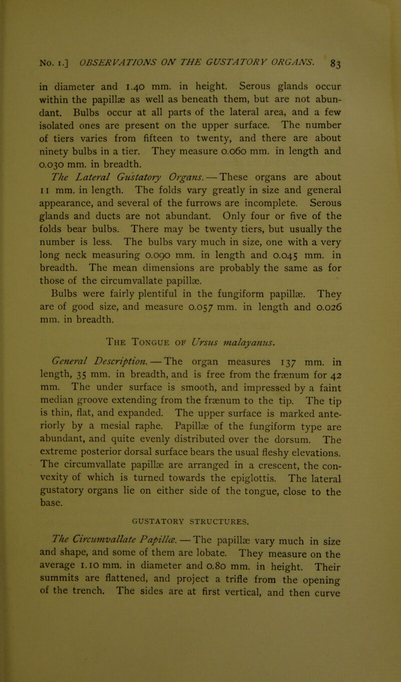 in diameter and 1.40 mm. in height. Serous glands occur within the papillae as well as beneath them, but are not abun- dant. Bulbs occur at all parts of the lateral area, and a few isolated ones are present on the upper surface. The number of tiers varies from fifteen to twenty, and there are about ninety bulbs in a tier. They measure 0.060 mm, in length and 0.030 mm. in breadth. The Lateral Gustatory Organs. — These organs are about 11 mm, in length. The folds vary greatly in size and general appearance, and several of the furrows are incomplete. Serous glands and ducts are not abundant. Only four or five of the folds bear bulbs. There may be twenty tiers, but usually the number is less. The bulbs vary much in size, one with a very long neck measuring 0.090 mm. in length and 0.045 breadth. The mean dimensions are probably the same as for those of the circumvallate papillae. Bulbs were fairly plentiful in the fungiform papillae. They are of good size, and measure 0.057 length and 0.026 mm. in breadth. The Tongue of Ursus malayamis. Getteral Description. — The organ measures 137 mm, in length, 35 mm, in breadth, and is free from the frasnum for 42 mm. The under surface is smooth, and impressed by a faint median groove extending from the fraenum to the tip. The tip is thin, flat, and expanded. The upper surface is marked ante- riorly by a mesial raphe. Papillae of the fungiform type are abundant, and quite evenly distributed over the dorsum. The extreme posterior dorsal surface bears the usual fleshy elevations. The circumvallate papillae are arranged in a crescent, the con- vexity of which is turned towards the epiglottis. The lateral gustatory organs lie on either side of the tongue, close to the base. GUSTATORY STRUCTURES. The Circumvallate Papillce. — The papillae vary much in size and shape, and some of them are lobate. They measure on the average i.iomm. in diameter and 0.80 mm, in height. Their summits are flattened, and project a trifle from the opening of the trench. The sides are at first vertical, and then curve
