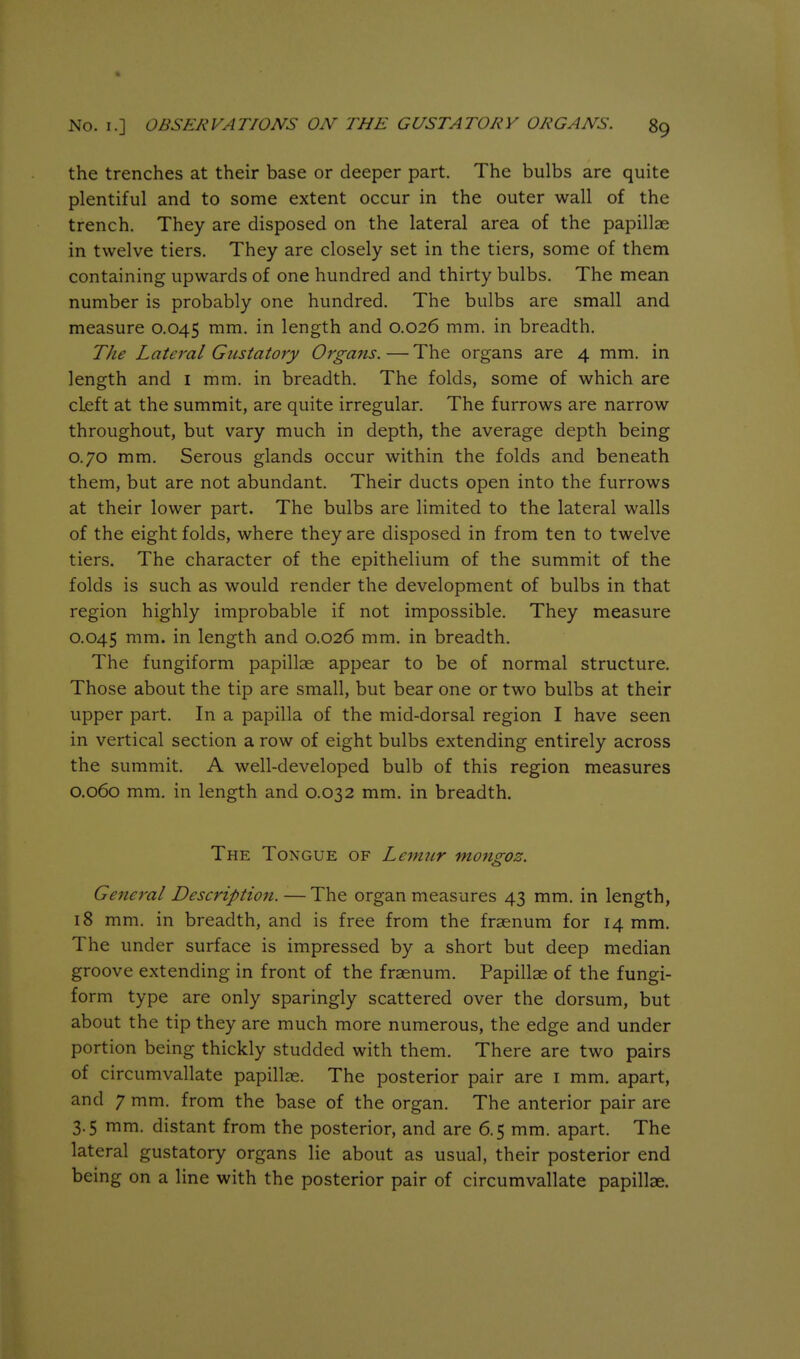 the trenches at their base or deeper part. The bulbs are quite plentiful and to some extent occur in the outer wall of the trench. They are disposed on the lateral area of the papillae in twelve tiers. They are closely set in the tiers, some of them containing upwards of one hundred and thirty bulbs. The mean number is probably one hundred. The bulbs are small and measure 0.045 ^^i^- length and 0.026 mm. in breadth. The Lateral Gustatory Orgatis. — The organs are 4 mm. in length and i mm. in breadth. The folds, some of which are cLeft at the summit, are quite irregular. The furrows are narrow throughout, but vary much in depth, the average depth being 0.70 mm. Serous glands occur within the folds and beneath them, but are not abundant. Their ducts open into the furrows at their lower part. The bulbs are limited to the lateral walls of the eight folds, where they are disposed in from ten to twelve tiers. The character of the epithelium of the summit of the folds is such as would render the development of bulbs in that region highly improbable if not impossible. They measure 0.045 mm. in length and 0.026 mm. in breadth. The fungiform papillae appear to be of normal structure. Those about the tip are small, but bear one or two bulbs at their upper part. In a papilla of the mid-dorsal region I have seen in vertical section a row of eight bulbs extending entirely across the summit. A well-developed bulb of this region measures 0.060 mm. in length and 0.032 mm. in breadth. The Tongue of Lemur mongoz. General Description. —The organ measures 43 mm. in length, 18 mm. in breadth, and is free from the fraenum for 14 mm. The under surface is impressed by a short but deep median groove extending in front of the fraenum. Papillae of the fungi- form type are only sparingly scattered over the dorsum, but about the tip they are much more numerous, the edge and under portion being thickly studded with them. There are two pairs of circumvallate papillae. The posterior pair are i mm. apart, and 7 mm. from the base of the organ. The anterior pair are 3.5 mm. distant from the posterior, and are 6.5 mm. apart. The lateral gustatory organs lie about as usual, their posterior end being on a line with the posterior pair of circumvallate papillae.