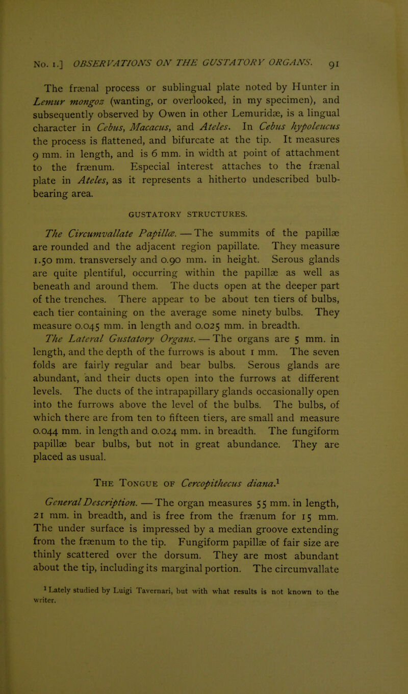 The frcenal process or sublingual plate noted by Hunter in Lemur mongoz (wanting, or overlooked, in my specimen), and subsequently observed by Owen in other Lemuridae, is a lingual character in Ccbiis, Macacus, and Ateles. In CebiLS hypoleticus the process is flattened, and bifurcate at the tip. It measures 9 mm. in length, and is 6 mm. in width at point of attachment to the fraenum. Especial interest attaches to the frsenal plate in Ateles, as it represents a hitherto undescribed bulb- bearing area. GUSTATORY STRUCTURES. The Circumvallate PapillcE. — The summits of the papillae are rounded and the adjacent region papillate. They measure 1.50 mm. transversely and 0.90 mm. in height. Serous glands are quite plentiful, occurring within the papillae as well as beneath and around them. The ducts open at the deeper part of the trenches. There appear to be about ten tiers of bulbs, each tier containing on the average some ninety bulbs. They measure 0.045 in length and 0.025 mm. in breadth. The Lateral Gustatory Organs. — The organs are 5 mm. in length, and the depth of the furrows is about i mm. The seven folds are fairly regular and bear bulbs. Serous glands are abundant, and their ducts open into the furrows at different levels. The ducts of the intrapapillary glands occasionally open into the furrows above the level of the bulbs. The bulbs, of which there are from ten to fifteen tiers, are small and measure 0.044 inn^- iri length and 0.024 mm. in breadth. The fungiform papillae bear bulbs, but not in great abundance. They are placed as usual. The Tongue of Cercopithecus diana} General Description. —The organ measures 55 mm. in length, 21 mm. in breadth, and is free from the fraenum for 15 mm. The under surface is impressed by a median groove extending from the fraenum to the tip. Fungiform papillae of fair size are thinly scattered over the dorsum. They are most abundant about the tip, including its marginal portion. The circumvallate 1 Lately studied by Luigi Tavernari, but with what results is not known to the writer.