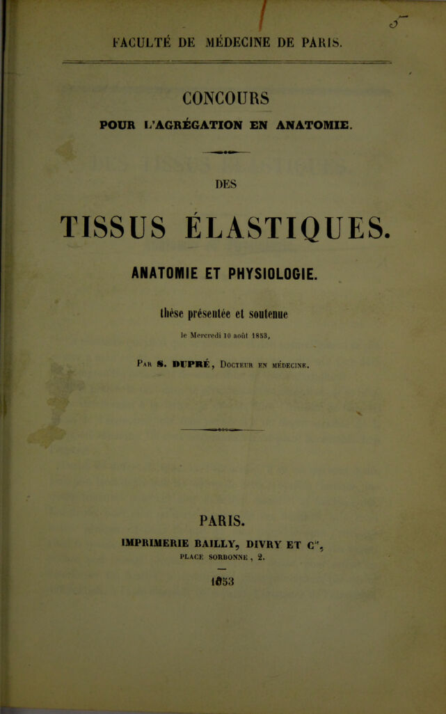 digitised image 3