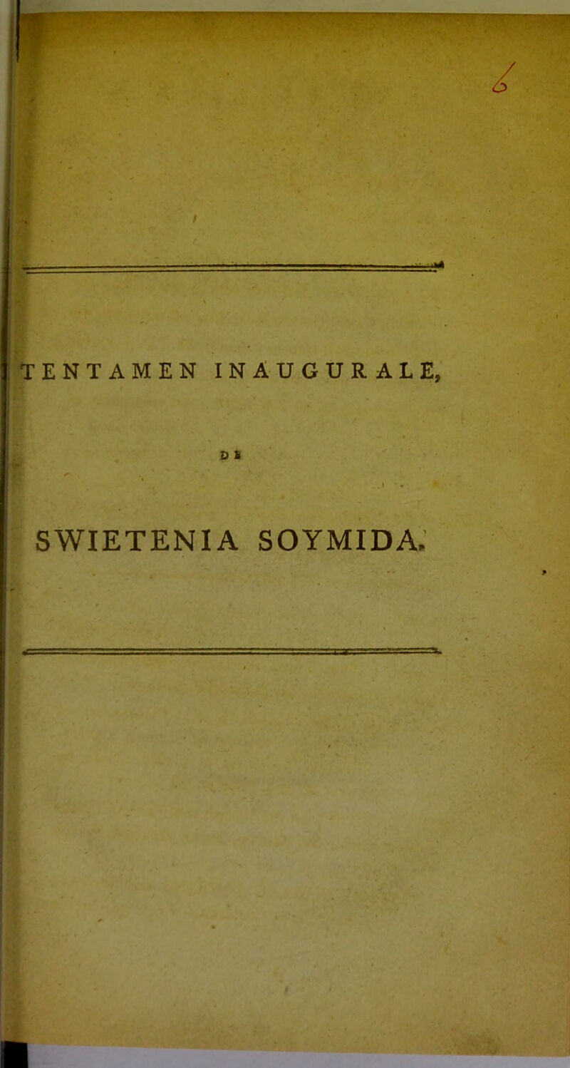 SWIETENIA SOYMIDA.