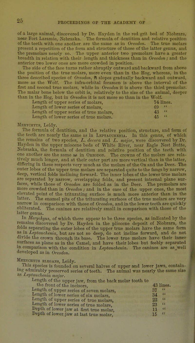 PROCEEDINGS OF THE ACADEMY OF of a large animal, discovered by Dr. Hayden in the red grit bed of Niobrara, near Fort Laramie, Nebraska. The formula of dentition and relative position of the teeth with one another are the same as in Oreodon. The true molars present a repetition of the form and structure of those of the latter genus, and the premolars nearly so. The upper anterior two premolars have a greater breadth in relation with their length and thickness than in Oreodon ; and the anterior two lower ones are more crowded in position. The side of the face turns rather abriiptly outward and backward from above the position of the true molars, more even than in the Hog, whereas, in the three described species of Oreodon, ft slopes gradually backward and outward, more as the Wolf. The infra-orbital foramen is above the interval of the first and second true molars, while in Oreodon it is above the third premolar. The malar bone below the orbit is, relatively to the size of the animal, deeper than in the Hog, but in Oreodon it is not more so than in the Wolf. Length of upper series of molars, 74 lines. Length of lower series of molars, 69  Length of upper series of true molars, 43  Length of lower series of true molars. 45  Mertchtus, Leidy. The formula of dentition, and the relative position, structure, and form of the teeth are nearly the same as in Leptauchenia. In this genus, of which the remains of two species, Z. decora and L. major, were discovered by Dr. Hayden in the upper miocene beds of White River, near Eagle Nest Butte, Nebraska, the formula of dentition and relative position of the teeth with one another are the same as in Okeodon. The crowns of the molars are rela- tively much longer, and at their outer part are more vertical than in the latter, differing in these respects very much as the molars of the Ox and the Deer. The outer lobes of the upper true molars are separated quite to the fangs by narrow, deep, vertical folds inclining forward. The inner lobes of the lower true molars are separated by nan-ow, overlapping folds, and present internal plane sur- faces, while those of Oreodon are folded as in the Deer. The premolars are more crowded than in Oreodon; and in the case of the upper ones, the most elevated point of the triturating surface is much more anterior than in the latter. The enamel pits of the triturating surfaces of the true molars are very narrow in comparison with those of Oreodon, and in the lower teeth are quickly obliterated. The canines are relatively small in comparison with those of the latter genus. In Merychyus, of which there appear to be three species, as indicated by the remains discovered by Dr. Hayden in the pliocene deposit of Niobrara, the folds separating the outer lobes of the upper true molars have the same form as in Leptauchenia, but are not so deep, do not incline forward, and do not divide the crown through its base. The lower true molars have their inner surfaces as plane as in the Camel, and have their lobes but feebly separated in comparison with the condition in Leptauchenia. Tlie canines are as^well developed as in Oreodon. Merychyus elegans, Leidy. This species is founded on several halves of upper and lower jaws, contain- ing admirably preserved series of teeth. The animal was nearly the same size as Leptauchenia major. Length of the upper jaw, from the back molar tooth to the front of the incisors, 43 lines. Length of upper series of seven molars, 37 Length of lower series of six molars, 34 Length of upper series of true molars, 22 Length of lower series of true molars, 23 Depth of lower jaw at fii-st true molar, 11 Depth of lower jaw at last true molar, 15