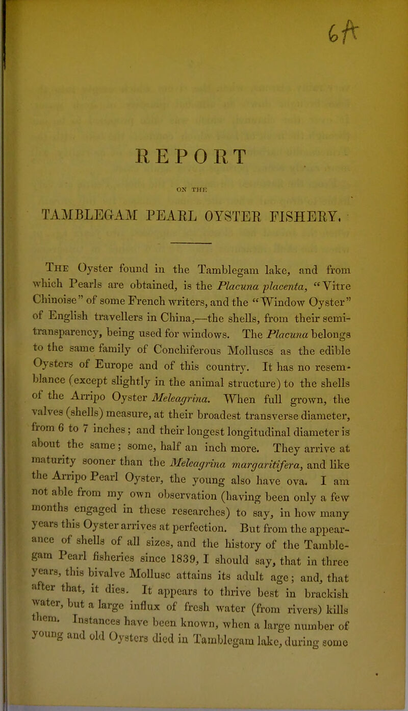 REPORT ON THP, tambleCtAm pearl oystee fishery. The Oyster found in the Tamblegam lake, and from which Pearls are obtained, is the Placuna placenta, Vitre Chinoise of some French writers, and the Window Oyster of English travellers in China,—the shells, fr om their semi- transparency, being used for windows. The Placuna belongs to the same family of Conchiferous Molluscs as the edible Oysters of Europe and of this country. It has no resem- blance (except slightly in the animal structure) to the shells of the Arripo Oyster Meleagriria. When full grown, the valves (shells) measure, at their broadest transverse diameter, from 6 to 7 inches; and their longest longitudinal diameter is about the same; some, half an inch more. They arrive at maturity sooner than the Melcagnna margariHfera, and like the Arripo Pearl Oyster, the young also have ova. I am not able from my own observation (having been only a few months engaged in these researches) to say, in how many years this Oyster arrives at perfection. But from the appear- ance of shells of all sizes, and the history of the Tamble- gam Pearl fisheries since 1839, I should say, that in three years, this bivalve Mollusc attains its adult age; and, that after that, it dies. It appears to thrive best in brackish water, but a large influx of fresh water (from rivers) kUls tl»em. Instances have been known, when a large number of young and old Oysters died in Tamblegam lake, during some