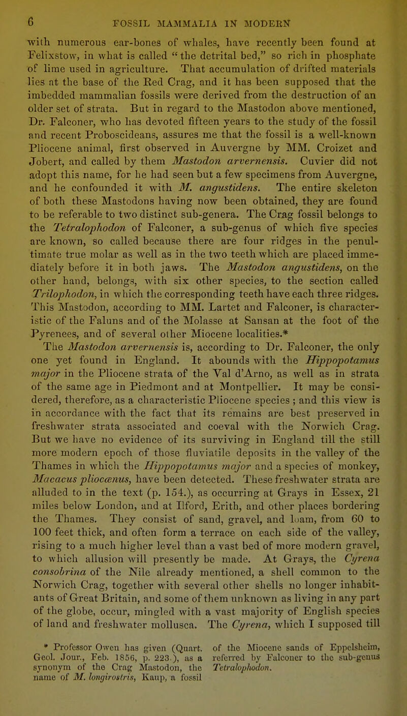 with numerous ear-bones of whales, have recently been found at Felixstow, in what is called the detrital bed, so rich in phosphate of lime used in agriculture. That accumulation of drifted materials lies at the base of the Red Crag, and it has been supposed that the imbedded mammalian fossils were derived from the destruction of an older set of strata. But in regard to the Mastodon above mentioned, Dr. Falconer, who has devoted fifteen years to the study of the fossil and recent Proboscideans, assures me that the fossil is a well-known Pliocene animal, first observed in Auvergne by MM. Croizet and Jobert, and called by them Mastodon arvernensis. Cuvier did not adopt this name, for he had seen but a few specimens from Auvergne, and he confounded it with M. angustidens. The entire skeleton of both these Mastodons having now been obtained, they are found to be referable to two distinct sub-genera. The Crag fossil belongs to the Tetralophodon of Falconer, a sub-genus of which five species are known, so called because there are four ridges in the penul- timate true molar as well as in the two teeth which are placed imme- diately before it in both jaws. The Mastodon angustidens, on the other hand, belongs, with six other species, to the section called Trilophodon, in which the corresponding teeth have each three ridges. This Mastodon, according to MM. Lartet and Falconer, is character- istic of the Faluns and of the Molasse at Sansan at the foot of the Pyrenees, and of several other Miocene localities.* The Mastodon arvernensis is, according to Dr. Falconer, the only one yet found in England. It abounds with the Hippopotamus major in the Pliocene strata of the Val d'Arno, as well as in strata of the same age in Piedmont and at Montpellier. It may be consi- dered, therefore, as a characteristic Pliocene species ; and this view is in accordance with the fact that its remains are best preserved in freshwater strata associated and coeval with the Norwich Crag. But we have no evidence of its surviving in England till the still more modern epoch of those fluviatile deposits in the valley of the Thames in whicli the Hippopotamus major and a species of monkey, Macacus pliocanus, have been detected. These freshwater strata are alluded to in the text (p. 154.), as occurring at Grays in Essex, 21 miles below London, and at Ilford, Erith, and other places bordering the Thames. They consist of sand, gravel, and loam, from 60 to 100 feet thick, and often form a terrace on each side of the valley, rising to a much higher level than a vast bed of more modern gravel, to which allusion will presently be made. At Grays, the Cyrena consobrina of the Nile already mentioned, a shell common to the Norwich Crag, together with several other shells no longer inhabit- ants of Great Britain, and some of them unknown as living in any part of the globe, occur, mingled with a vast majority of English species of land and freshwater inollusca. The Cyrena, which I supposed till * Professor Oweu has given (Quart, of the Miocene sands of Eppelshcim, Geol. Jour., Feb. 1856, p. 223 ), as a referred by Falconer to the sub-genus synonym of the Crag Mastodon, the Tetraloplwdon. name of M. longirostris, Kaup, a fossil