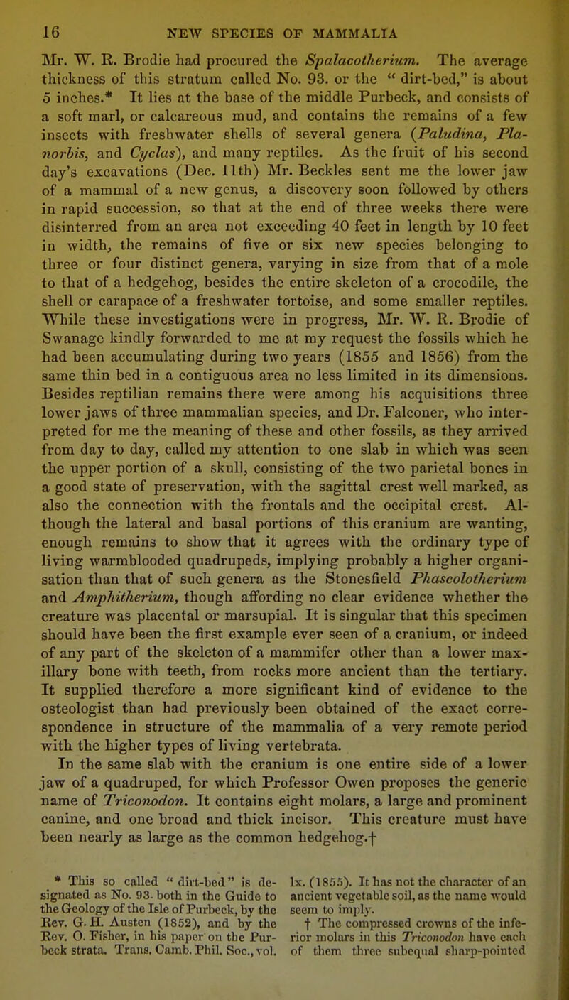 Mr. W. R. Brodie had procured the Spalacotherium. The average thickness of this stratum called No. 93. or the  dirt-bed, is about 5 inches.* It lies at the base of the middle Purbeck, and consists of a soft marl, or calcareous mud, and contains the remains of a few insects with freshwater shells of several genera (Paludina, Pla- norbis, and Cyclas), and many reptiles. As the fruit of his second day's excavations (Dec. llth) Mr. Beckles sent me the lower jaw of a mammal of a new genus, a discovery soon followed by others in rapid succession, so that at the end of three weeks there were disinterred from an area not exceeding 40 feet in length by 10 feet in width, the remains of five or six new species belonging to three or four distinct genera, varying in size from that of a mole to that of a hedgehog, besides the entire skeleton of a crocodile, the shell or carapace of a freshwater tortoise, and some smaller reptiles. While these investigations were in progress, Mr. W. R. Brodie of Swanage kindly forwarded to me at my request the fossils which he had been accumulating during two years (1855 and 1856) from the same thin bed in a contiguous area no less limited in its dimensions. Besides reptilian remains there were among his acquisitions three lower jaws of three mammalian species, and Dr. Falconer, who inter- preted for me the meaning of these and other fossils, as they arrived from day to day, called my attention to one slab in which was seen the upper portion of a skull, consisting of the two parietal bones in a good state of preservation, with the sagittal crest well marked, as also the connection with the frontals and the occipital crest. Al- though the lateral and basal portions of this cranium are wanting, enough remains to show that it agrees with the ordinary type of living warmblooded quadrupeds, implying probably a higher organi- sation than that of such genera as the Stonesfield Phascolotherium and Amphitherium, though affording no clear evidence whether the creature was placental or marsupial. It is singular that this specimen should have been the first example ever seen of a cranium, or indeed of any part of the skeleton of a mammifer other than a lower max- illary bone with teeth, from rocks more ancient than the tertiary. It supplied therefore a more significant kind of evidence to the osteologist than had previously been obtained of the exact corre- spondence in structure of the mammalia of a very remote period with the higher types of living vertebrata. In the same slab with the cranium is one entire side of a lower jaw of a quadruped, for which Professor Owen proposes the generic name of Triconodon. It contains eight molars, a large and prominent canine, and one broad and thick incisor. This creature must have been nearly as large as the common hedgehog, f _* ThiB so called dirt-bed is de- lx. (1855). It has not the character of an signated as No. 93- both in the Guide to ancient vegetable soil, as the name would the Geology of the Isle of Purbeck, by the seem to imply. Kcv. G. H. Austen (1852), and by the t The compressed crowns of the infe- Eev. O. Fisher, in his paper on the Pur- rior molars in this Triconodon have each beck strata. Trans. Camb. Phil. Soc, vol. of them three subequal sharp-pointed