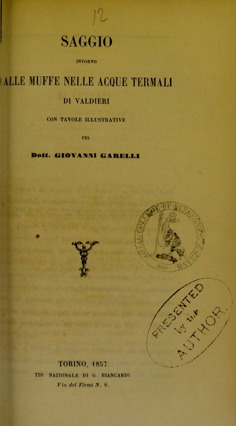 SAGGIO INTORNO ALLE MUFFE NELLE ACQUE TERMALI DI VALDIERI CON TAVOLE ILLUSTRATIVE PEL BoU. «ARElilil t TORINO, 1857. TIP. NAZIONALE DI G. niANCARDl. Via del Fieno iV. 8.