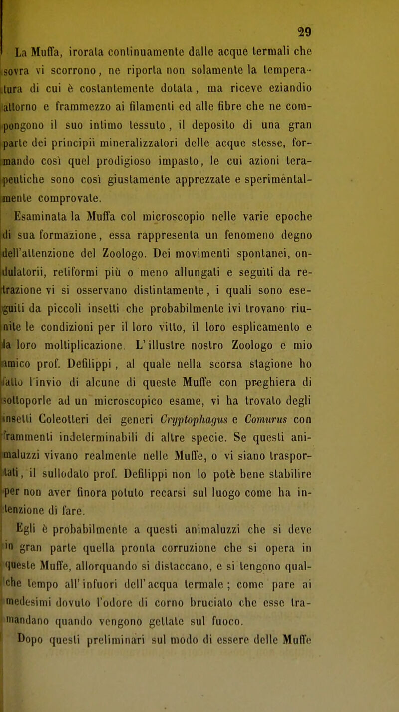 La Muffa, inorala conlinuamenle dalle acque termali che isovra vi scorrono, ne riporta non solamente la tempera - ilura di cui è costantemente dotala, ma riceve eziandio iiallorno e frammezzo ai filamenti ed alle fibre che ne com- rpongono il suo inlimo tessuto, il deposito di una gran Iparie dei principi! mineralizzalori delle acque stesse, for- imando cosi quel prodigioso impasto, le cui azioni tera- 'peuliche sono così giustamente apprezzate e spcrimèntal- menle comprovate. Esaminala la Muffa col microscopio nelle varie epoche di sua formazione, essa rappresenta un fenomeno degno dell'atlenzionc del Zoologo. Dei movimenti spontanei, on- dulatorii, retiformi più o meno allungali e seguiti da re- trazione vi si osservano distintamente, i quali sono ese- guili da piccoli inselli che probabilmente ivi trovano riu- nite le condizioni per il loro vitto, il loro esplicamenlo e ila loro moltiplicazione L'illustre nostro Zoologo e mio amico prof. Defilippi, al quale nella scorsa stagione ho ilallo l'invio di alcune di queste Muffe con pr-eghiera di soltoporle ad un microscopico esame, vi ha trovato degli inselli Coleotteri dei generi Cryptophagus e Comurus con frammenti indeterminabili di altre specie. Se questi ani- analuzzi vivano realmente nelle Muffe, o vi siano traspor- ilali, il sullodato prof. Defilippi non lo potè bene stabilire •per non aver finora potuto recarsi sul luogo come ha in- !lenzione di fare. Egli ò probabilmente a questi animaluzzi che si deve ^'1 gran parte quella pronta corruzione che si opera in ' queste Muffe, allorquando si distaccano, e si tengono qual- ^'che tempo all'infuori dell'acqua termale; come pare ai iimedesimi dovuto l'odore di corno bruciato che esse Ira- ' mandano quando vengono gettale sul fuoco. Dopo questi preliminari sul modo di essere delle Muffe