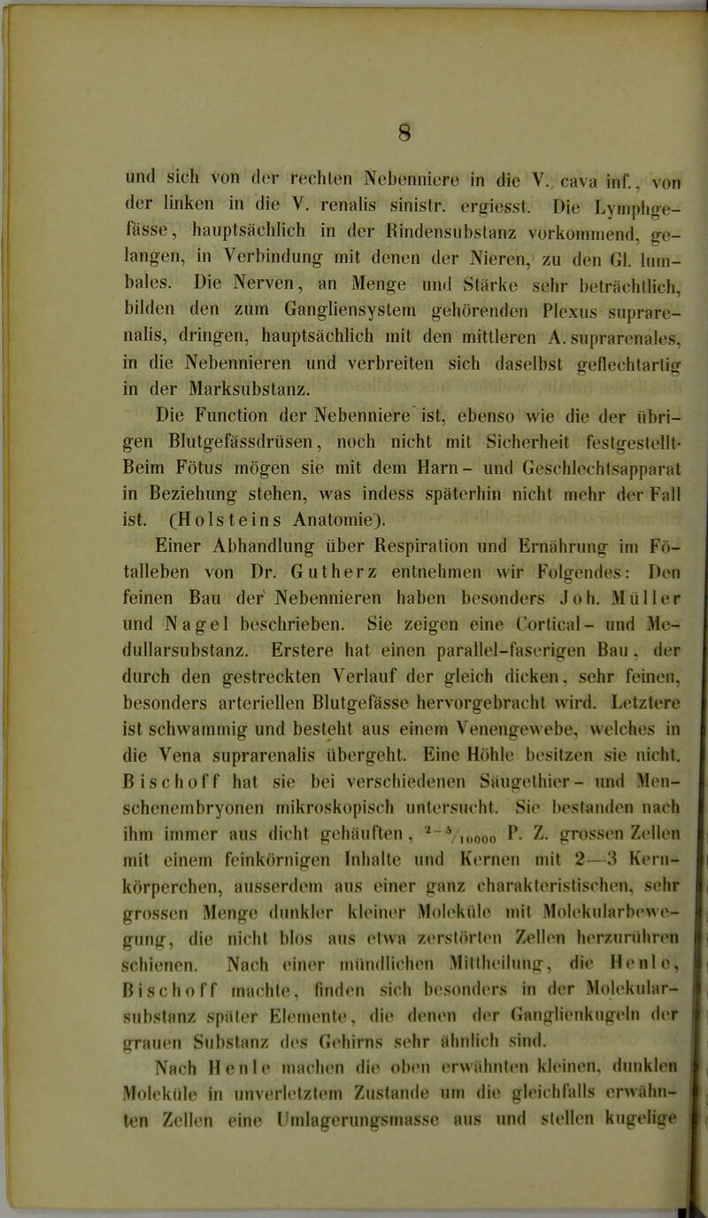 und sich von der rechlen Nebenniere in die V., cava inf., von der linken in die V. renalis sinislr. ergiesst. Die Lyinpiige- fässe, hauptsächlich in der Rindensubslanz vorkoinniend, ge- langen, in Verbindung mit denen der Nieren, zu den Gl. lum- bales. Die Nerven, an Menge und Stärke sehr beträchtlich, bilden den zum Gangliensystem gehörenden Plexus suprare- nalis, dringen, hauptsächlich mit den mittleren A. suprarenales, in die Nebennieren und verbreiten sich daselbst geflechtartig in der Marksubstanz. Die Function der Nebenniere ist, ebenso wie die der übri- gen Blutgefässdrüsen, noch nicht mit Sicherheit festgestellt- Beim Fötus mögen sie mit dem Harn- und Geschlechtsapparat in Beziehung stehen, was indess späterhin nicht mehr der Fall ist. (Holsteins Anatomie). Einer Abhandlung über Respiration und Ernährung im Fö- talleben von Dr. Gutherz entnehmen wir Folgendes: Den feinen Bau der Nebennieren haben besonders Joli. Müller und Nagel beschrieben. Sie zeigen eine Cortical- und Me- dullarsubstanz. Erstere hat einen parallel-faserigen Bau. der durch den gestreckten Verlauf der gleich dicken, sehr feinen, besonders arteriellen Blutgefässe hervorgebracht wird. Letztere ist schwammig und besteht aus einem Venengewebe, welches in die Vena suprarenalis übergeht. Eine Höhle besitzen .sie nicht. B i s c h 0 f f hat sie bei verschiedenen Säugelhier - inid Men- schcnembryonen mikroskopisch untersucht. Sie bestaiulen nach ihm immer aus dicht gehäuften, ^ ^ n.ooo P- ^- grossen Zellen mit einem feinkörnigen Inhalte und Kernen mit 2—3 Kern- körperchen, ausserdem aus einer ganz charakteristischen, sehr grossen Menge dunkler kleiner Moleküle mit Molekularbewe- gung, die nicht blos aus etwa zerstörten Zellen hcTzunihren schienen. Nach einer minidlichen Miltheilung, die Henle, Bischoff machte, finden sich besonders in der Molekular- snbstanz später Elemente, die denen der Ganglienkugeln der grauen Substanz des Gehirns sehr ähnlich sind. Nach Henle machen die oben erwähnten kleinen, dunklen Moleküle in unverletztem Zustande um die gleichfalls erwähn- ten Zellen eine Umlagerungsmasse aus und stellen kugelige