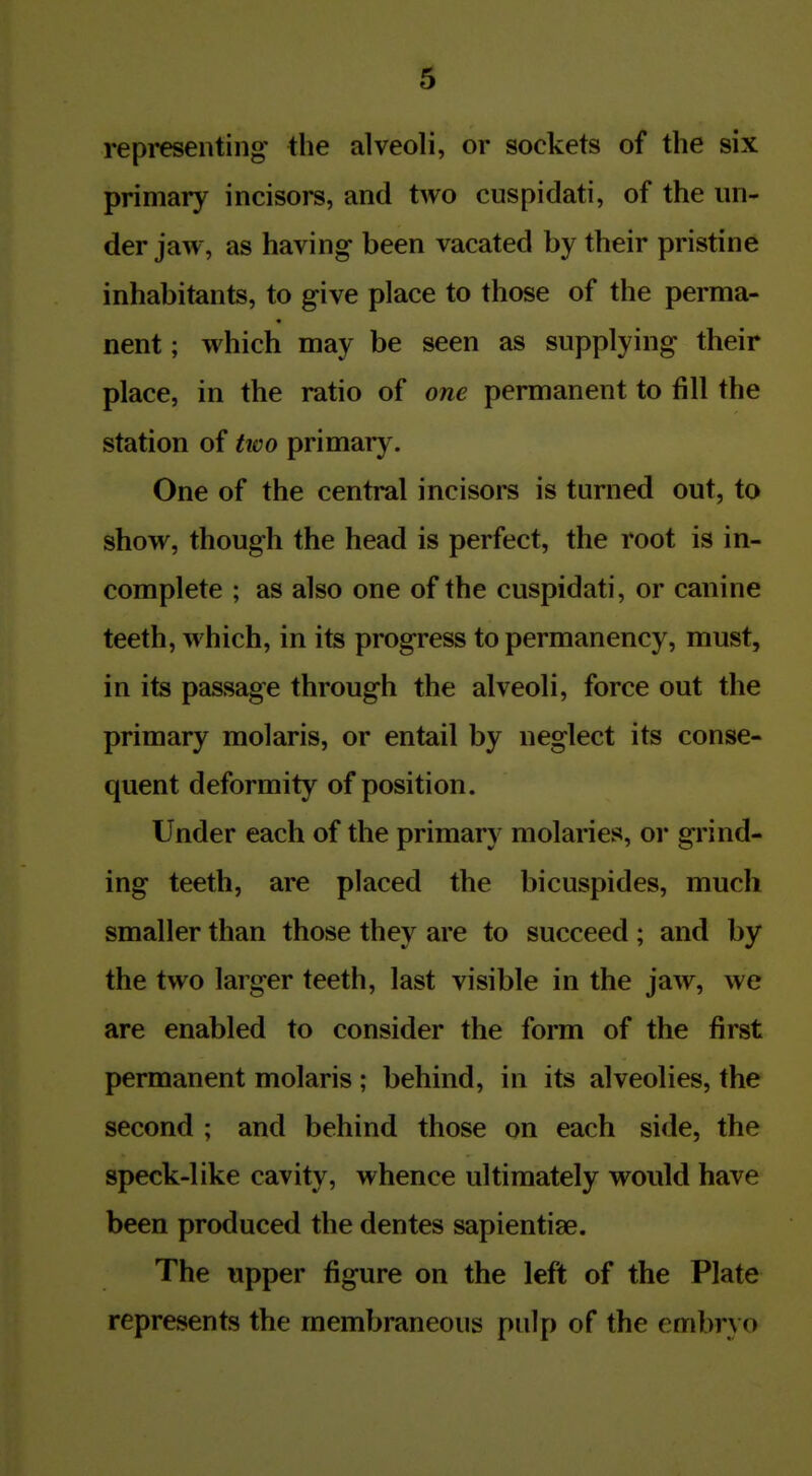 representing the alveoli, or sockets of the six primary incisors, and two cuspidati, of the un- der jaw, as having been vacated by their pristine inhabitants, to give place to those of the perma- nent; which may be seen as supplying their place, in the ratio of one permanent to fill the station of hco primary. One of the central incisors is turned out, to show, though the head is perfect, the root is in- complete ; as also one of the cuspidati, or canine teeth, which, in its progress to permanency, must, in its passage through the alveoli, force out the primary molaris, or entail by neglect its conse- quent deformity of position. Under each of the primary molaries, oi* grind- ing teeth, are placed the bicuspides, much smaller than those they are to succeed ; and by the two larger teeth, last visible in the jaw, we are enabled to consider the form of the first permanent molaris; behind, in its alveolies, the second ; and behind those on each side, the speck-like cavity, whence ultimately would have been produced the dentes sapientise. The upper figure on the left of the Plate represents the membraneous pulp of the embryo