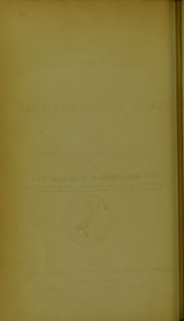 digitised image 2