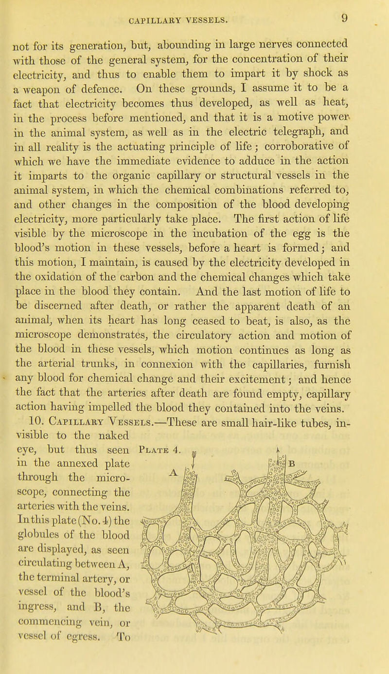 not for its generation, but, abounding in large nerves connected with those of the general system, for the concentration of their electricity, and thus to enable them to impart it by shock as a weapon of defence. On these grounds, I assume it to be a fact that electricity becomes thus developed, as well as heat, in the process before mentioned, and that it is a motive power, in the animal system, as well as in the electric telegraph, and in all reality is the actuating principle of life; corroborative of which we have the immediate evidence to adduce in the action it imparts to the organic capillary or structural vessels in the animal system, in which the chemical combinations referred to, and other changes in the composition of the blood developing electricity, more particularly take place. The first action of life Adsible by the microscope in the incvibation of the egg is the blood's motion in these vessels, before a heart is formed; and this motion, I maintain, is caused by the electricity developed in the oxidation of the carbon and the chemical changes which take place in the blood they contain. And the last motion of life to be discerned after death, or rather the apparent death of an animal, when its heart has long ceased to beat, is also, as the microscope demonstrates, the circulatory action and motion of the blood in these vessels, which motion continues as long as the arterial trunks, in connexion with the capillaries, furnish any blood for chemical change and their excitement; and hence the fact that the arteries after death are found empty, capillary action having impelled the blood they contained into the veins. 10. Capillary Vessels.—These are small hair-like tubes, in- visible to the naked eye, but thus seen in the annexed plate through the micro- scope, connecting the arteries with the veins. In this plate (No. i) the globules of the blood are displayed, as seen circulating between A, the terminal artery, or vessel of the blood's ingress, and B, the commencing vein, or vessel of egress. To