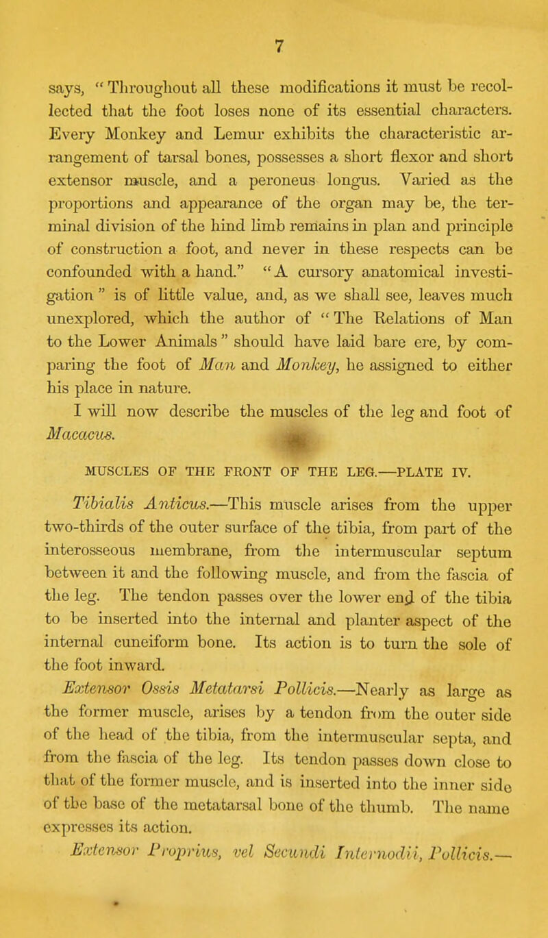 says,  Throughout all these modifications it must be recol- lected that the foot loses none of its essential characters. Every Monkey and Lemui' exhibits the characteristic ar- rangement of tarsal bones, possesses a short flexor and short extensor muscle, and a peroneus longus. Varied as the proportions and appearance of the organ may be, the ter- minal division of the hind Umb remains in plan and principle of construction a foot, and never in these respects can be confounded with a hand.  A cursory anatomical investi- gation  is of little value, and, as we shall see, leaves much unexplored, which the author of  The Relations of Man to the Lower Animals  should have laid bare ere, by com- paring the foot of Man and Monkey, he assigned to either his place in natui'e. I will now describe the muscles of the leg and foot of MacacuB. MUSCLES OF THE FEONT OF THE LEG.—PLATE IV, Tibialis Anticus.—This muscle arises from the upper two-thirds of the outer surface of the tibia, from part of the interosseous membrane, from tlie intermuscular septum between it and the following muscle, and from the fascia of the leg. The tendon passes over the lower en^J of the tibia to be inserted into the internal and planter aspect of the internal cuneiform bone. Its action is to turn the sole of the foot inward. Extensor Ossis Metatarsi Pollicis.—Nearly as large as the former muscle, arises by a tendon from the outer side of the head of the tibia, from the intermuscular septa, and from the fascia of the leg. Its tendon passes down close to that of the former muscle, and is inserted into the inner side of the base of the metatarsal bone of the thumb. The name expresses its action. Extensa)' PropriiLs, vel Secandi InternodU, rollicis.—