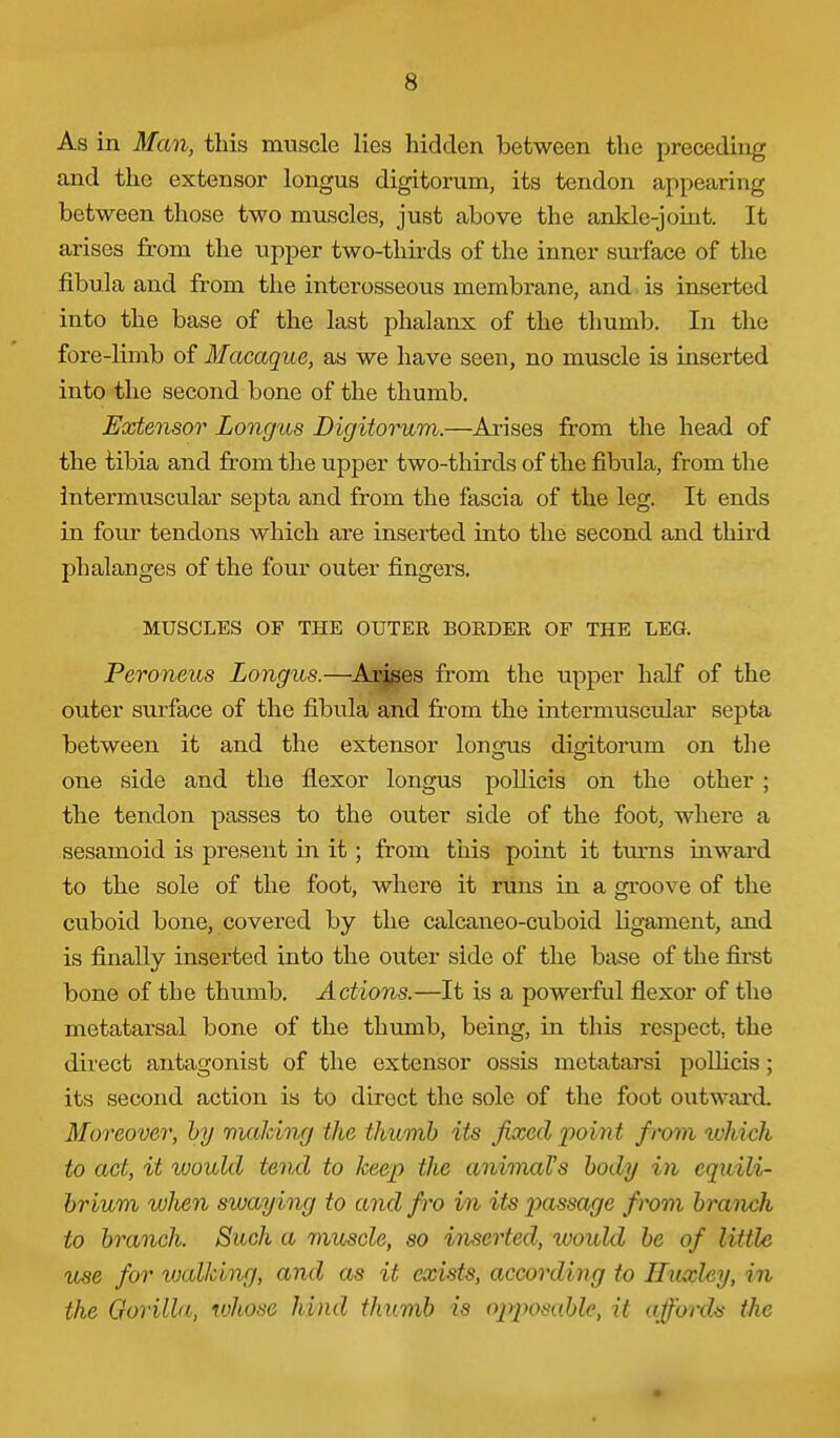 As in Man, this muscle lies hidden between the preceding and the extensor longus digitorum, its tendon appearing between those two muscles, just above the ankle-joint. It arises from the upper two-thirds of the inner sm-face of the fibula and from the interosseous membrane, and is inserted into the base of the last phalanx of the thumb. In the fore-limb of Macaque, as we have seen, no muscle is inserted into the second bone of the thumb. Extensor Longus Digitorum.—Arises from the head of the tibia and from the upper two-thirds of the fibula, from the intermuscular septa and from the fascia of the leg. It ends in four tendons which are inserted into the second and third phalanges of the four outer fingers. MUSCLES OF THE OUTER BORDER OF THE LEG. Peroneus Longus.—^Ar^es from the upper half of the outer surface of the fibula and from the intermuscular septa between it and the extensor lonsrus digitorum on the one side and the flexor longus poUicis on the other ; the tendon passes to the outer side of the foot, where a sesamoid is present in it; from this point it ttmis inward to the sole of the foot, where it runs in a groove of the cuboid bone, covered by the calcaneo-cuboid ligament, and is finally inserted into the outer side of the base of the fii'st bone of the thumb. Actions.—It is a powerful flexor of the metatarsal bone of the thumb, being, in this respect, the direct antagonist of the extensor ossis metatarsi poUicis; its second action is to direct the sole of the foot outward. Moreover, hy nialdng the thumb its Jwoed point from ivhich to act, it would tend to keep the animaVs body in equili- brium when swaying to and fro in its iMssage from branch to branch. Such a muscle, so inserted, would be of little use for loalking, and as it exists, according to Hiudey, in the Gorilla, whose hind thumb is oj)/)o«(6Zc, it affords the