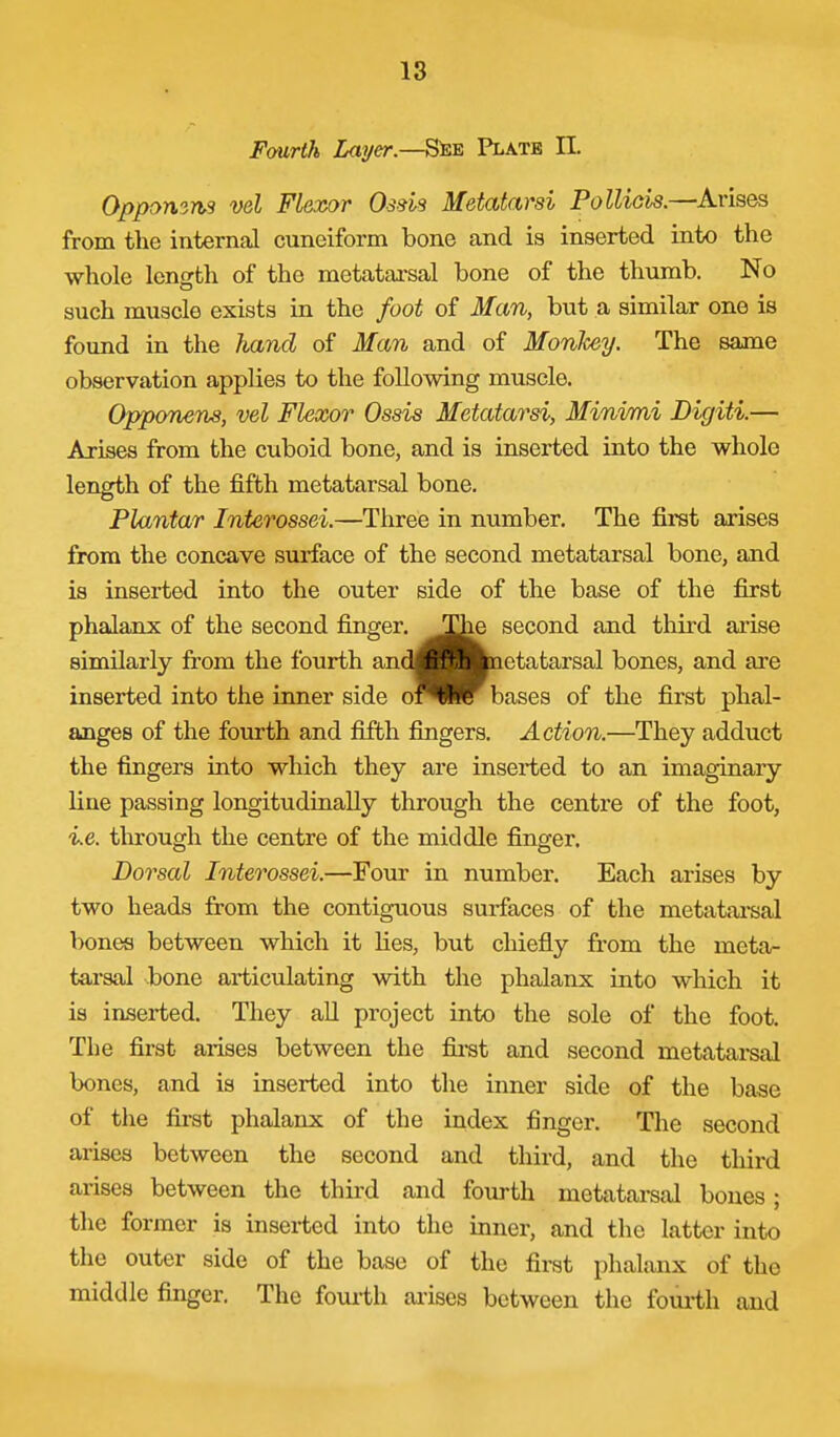 Fmrth Layer.—See Plate II. Opponsns vel Flexor Osns Metatarsi Polliois.—Arises from the internal cuneiform bone and is inserted into the whole length of the metatai'sal bone of the thumb. No such muscle exists in the foot of Man, but a similar one is found in the hand of Man and of MonJcey. The same observation applies to the following muscle. Opponens, vel Flexor Ossis Metatarsi, Minimi Digiti.— Arises from the cuboid bone, and is inserted into the whole length of the fifth metatarsal bone. Plantar Interossei.—Three in number. The first arises from the concave surface of the second metatarsal bone, and is inserted into the outer side of the base of the first phalanx of the second finger. ^The second and third aiise similarly fi:om the fourth and^^Mnetatarsal bones, and are inserted into the inner side oi^Ire bases of the first phal- anges of the fourth and fifth fingers. Action.—They adduct the fingers into which they are inserted to an imaginary line passing longitudinally through the centre of the foot, i.e. through the centre of the middle finger. Dorsal Interossei.—Four in number. Each arises by two heads from the contiguous surfaces of the metatarsal bones between which it lies, but chiefly fi'om the meta- tarsal bone articulating with the phalanx into which it is inserted. They aU project into the sole of the foot. The first arises between the first and second metatai-sal bones, and is inserted into the inner side of the base of the first phalanx of the index finger. The second arises between the second and third, and the third arises between the third and fourth metatarsal bones; the former is inserted into the inner, and the latter into the outer side of the base of the first phalanx of the middle finger. The fourth aiises between the fom-th and