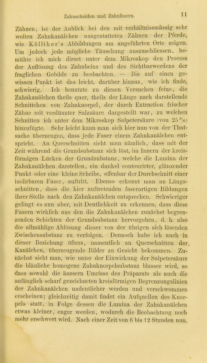 Zähnen, ist der Anblick bei den mit vevhältnissmässig selir weiten Zaliulvanälclien ausgestatteten Zähnen der Pferde, wie Kölliker's Abbildungen am angeführten Orte zeigen. Um jedoch jede mögliche Täuschung auszuschliessen, be- mühte ich mich direct unter dem Mikroskop den Process der Auflösung des Zahnbeins und des Sichtbarwerdens der fraglichen Gebilde zu beobachten. — Bis auf einen ge- wissen Punkt ist das leicht, darüber hinaus, wie ich finde, schwierig. Ich benutzte zu diesen Versuchen feine, die Zahnkanälchen theils quer, theils der Länge nach darstellende Schnittchen von Zahnknorpel, der durch Exti-action frischer Zähne mit verdünnter Salzsäure dargestellt war, zu welchen Schnitten ich unter dem Mikroskop Salpetersäure (von 25°/o) hinzufügte. Sehr leicht kann man sich hier nun von der That- sache überzeugen, dass jede Faser einem Zahnkanälchen ent- spricht. An Querschnitten sieht man nämlich, dass mit der Zeit während die Gruudsubstanz sich löst, im Innern der kreis- föraiigen Lücken der Grundsubstanz, welche die Lumina der Zahnkanälchen darstellen, ein dunkel contourirter, glänzender Punkt oder eine kleine Scheibe, offenbar der Durchschnitt einer isolirbaren Faser, auftritt. Ebenso erkennt mau an Längs- schnitten, dass die hier aufti-etenden faserartigen Bildungen ihrer Stelle nach den Zahnkanälchen entsprechen. Schwieriger gelingt es nun aber, mit Deutlichkeit zu erkennen, dass diese Fasern wirklich aus den die Zahnkanälchen zunächst begren- zenden Schichten der Grundsubstanz hervorgehen, d. h. also die allmählige Ablösung dieser von der übrigen sich lösenden Zwischensubstanz zu verfolgen. Dennoch habe ich auch in dieser Beziehung öfters, namentlich an Querschnitten der, Kanälchen, überzeugende Bilder zu Gesicht bekommen. Zu- nächst sieht man, wie unter der Einwirkung der Salpetersäure die bläuliche homogene Zahnknorpelsubstanz blasser wird, so dass sowohl die äussern Umrisse des Präparats als auch die anfänglich scharf gezeichneten kreisförmigen Begrenzungslinien der Zahnkanälchen undeutlicher werden und verschwommen erscheinen; gleichzeitig damit findet ein Aufquellen des Knor- pels statt, in Folge dessen die Lumina der Zahnkanälchen etwas kleiner, enger werden, wodurch die Beobachtung noch mehr erschwert wird. Nach einer Zeit von 6 bis 12 Stunden nun,