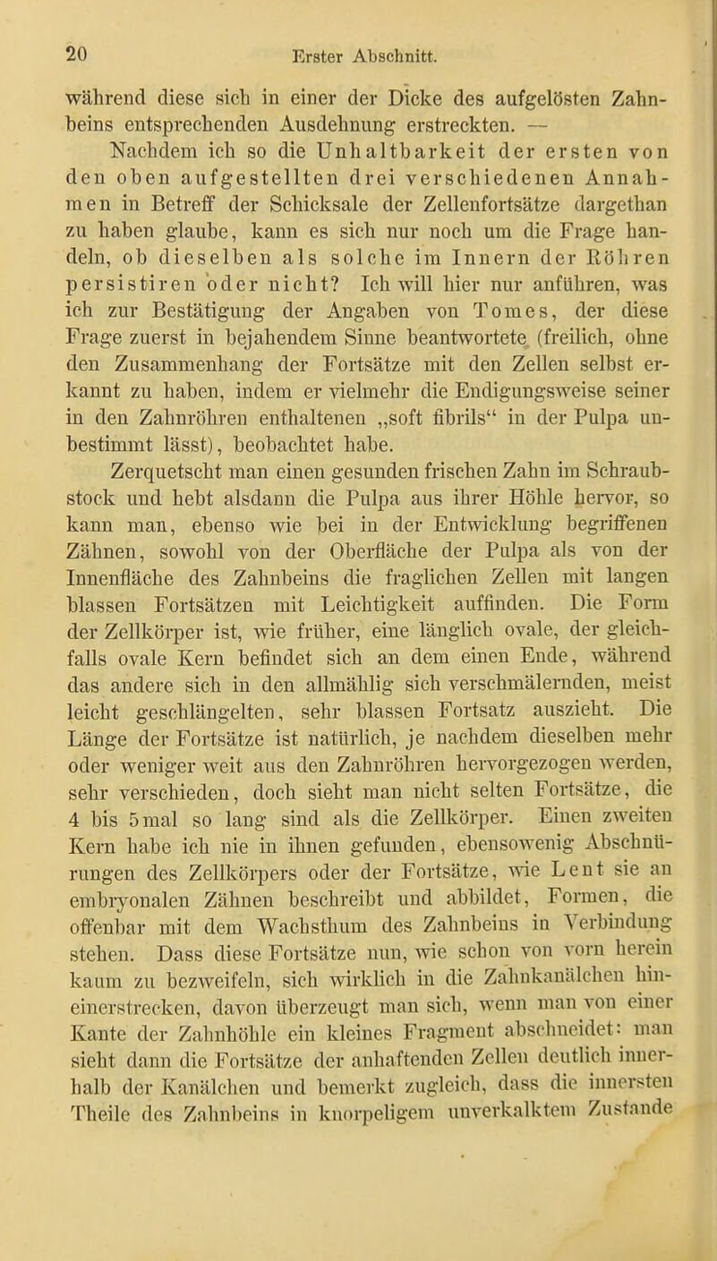 Während diese sich in einer der Dicke des aufgelösten Zahn- beins entsprechenden Ausdehnung erstreckten. — Nachdem ich so die Unhaltbarkeit der ersten von den oben aufgestellten drei verschiedenen Annah- men in Betreff der Schicksale der Zellenfortsätze dargethan zu haben glaube, kann es sich nur noch um die Frage han- deln, ob dieselben als solche im Innern der Köliren persistiren oder nicht? Ich will hier nur anführen, was ich zur Bestätigung der Angaben von Tomes, der diese Frage zuerst in bejahendem Sinne beantwortete (freilich, ohne den Zusammenhang der Fortsätze mit den Zellen selbst er- kannt zu haben, indem er vielmehr die Eudigungsweise seiner in den Zahnröhren enthaltenen „soft fibrils in der Pulpa un- bestimmt lässt), beobachtet habe. Zerquetscht man einen gesunden frischen Zahn im Schraub- stock und hebt alsdann die Pulpa aus ihrer Höhle hervor, so kann man, ebenso wie bei in der Entwicklung begriffenen Zähnen, sowohl von der Oberfläche der Pulpa als von der Innenfläche des Zahnbeins die fraglichen Zellen mit langen blassen Fortsätzen mit Leichtigkeit auffinden. Die Form der Zellkörper ist, wie früher, eine länglich ovale, der gleich- falls ovale Kern befindet sich an dem emen Ende, während das andere sich in den allmählig sich verschmälernden, meist leicht geschlängelten, sehr blassen Fortsatz auszieht. Die Länge der Fortsätze ist natürlich, je nachdem dieselben mehr oder weniger weit aus den Zahnröhren heiTorgezogen werden, sehr verschieden, doch sieht man nicht selten Fortsätze, die 4 bis 5 mal so lang sind als die Zellkörper. Einen zweiten Kern habe ich nie in ihnen gefunden, ebensowenig Abschnti- rungen des Zellkörpers oder der Fortsätze, wie Lent sie an embryonalen Zähnen beschreibt und abbildet, Formen, die offenbar mit dem Wachsthum des Zahnbeins in Verbindung stehen. Dass diese Fortsätze nun, wie schon von vorn herein kaum zu bezweifeln, sich wirklich in die Zahnkanälchcn hin- einerstrecken, davon überzeugt man sich, wenn man von enier Kante der Zahnhöhle ein kleines Fragment abschneidet: man sieht dann die Fortsätze der anhaftenden Zellen deutlich inner- halb der Kanälchen und bemerkt zugleich, dass die innersten Theile des Zahnbeins in knorpeligem unverkalktem Zustande