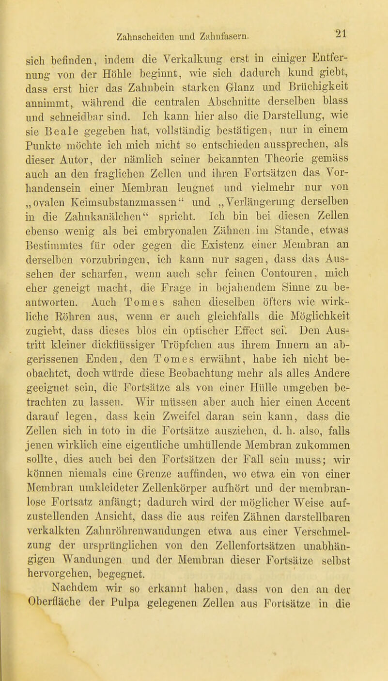 sich befinden, indem die Verkalkung erst in einiger Entfer- nung von der Höhle beginnt, wie sich dadurch kund giebt, dass erst hier das Zahnbein starken Glanz und Brüchigkeit annimmt, während die centralen Abschnitte derselben blass und schneidbar sind. Ich kann hier also die Darstellung, wie sie Beale gegeben hat, vollständig bestätigen, nur in einem Punkte möchte ich mich nicht so entschieden aussprechen, als dieser Autor, der nämlich seiner bekannten Theorie gemäss auch an den fraglichen Zellen und ihren Fortsätzen das Vor- handensein einer Membran leugnet und vielmehr nur von „ovalen Keimsubstanzmassen und „Verlängerung derselben in die Zahnkanälcheu spricht. Ich bin bei diesen Zellen ebenso wenig als bei embryonalen Zähnen im Stande, etwas Bestimmtes für oder gegen die Existenz einer Membran an derselben vorzubringen, ich kann nur sagen, dass das Aus- sehen der scharfen, wenn auch sehr feinen Contouren, mich eher geneigt macht, die Frage in bejahendem Sinne zu be- antworten. Auch Tomes sahen dieselben öfters wie wirk- liche Köhren aus, wenn er auch gleichfalls die Möglichkeit zugiebt, dass dieses blos ein optischer Effect sei. Den Aus- tritt kleiner dickflüssiger Tröpfchen aus ihrem Innern an ab- gerissenen Enden, den Tomes erwähnt, habe ich nicht be- obachtet, doch würde diese Beobachtung mehr als alles Andere geeignet sein, die Fortsätze als von einer Hülle umgeben be- trachten zu lassen. Wir müssen aber auch hier einen Accent darauf legen, dass kein Zweifel daran sein kann, dass die Zellen sich in toto in die Fortsätze ausziehen, d. h. also, falls jenen wirklich eine eigentliche umhüllende Membran zukommen sollte, dies auch bei den Fortsätzen der Fall sein muss; wir können niemals eine Grenze auffinden, wo etwa ein von einer Membran umkleideter Zellenkörper aufhört und der merabran- lose Fortsatz anfängt; dadurch wird der möglicher Weise auf- zustellenden Ansicht, dass die aus reifen Zähnen darstellbaren verkalkten Zahnröhrenwandungen etwa aus einer Verschmel- zung der ursprünglichen von den Zellenfortsätzen unabhän- gigen Wandungen und der Membran dieser Fortsätze selbst hervorgehen, begegnet. Nachdem wir so erkannt haben, dass von den an der Oberfläche der Pulpa gelegenen Zellen aus Fortsätze in die