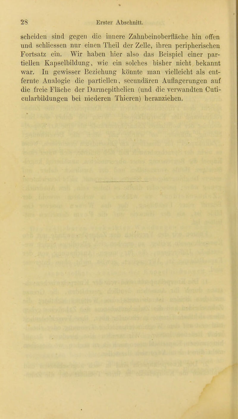 scheiden sind gegen die innere Zalinbeinoberfläcbe hin offen und schliessen nur einen Theil der Zelle, ihren peripherischen Fortsatz ein. Wir haben hier also das Beispiel einer par- tiellen Kapselbildung, wie ein solches bisher nicht bekannt war. In gewisser Beziehung könnte man vielleicht als ent- fernte Analogie die partiellen, secundären Auflagerungen auf die freie Fläche der Darmepithelien (und die verwandten Cuti- cularbildungen bei niederen Thieren) heranziehen.
