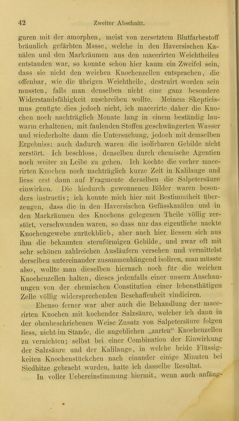 guren mit der amorphen, meist von zersetztem Blutfarbestoff bräunlich gefärbten Masse, welche in den Haversischen Ka- nälen und den Markräunien aus den niacerirten Weichtheilen entstanden war, so konnte schon hier kaum ein Zweifel sein, dass sie nicht den weichen Kuochenzellen entsprachen, die offenbar, wie die übrigen Weichthcile, destruirt worden sein mussten, falls man denselben nicht eine ganz besondere Widerstandsfähigkeit zuschreiben wollte. Meinem Skepticis- mus genügte dies jedoch nicht, ich macerirte daher die Kno- chen noch nachträglich Monate lang in einem beständig lau- warm erhaltenen, mit faulenden Stoffen geschwängerten Wasser und wiederholte dann die Untersuchung, jedoch mit demselben Ergcbuiss: auch dadurch waren die isolirbaren Gebilde nicht zerstört. Ich beschloss, denselben durch chemische Agentien noch weiter zu Leibe zu gehen. Ich kochte die vorher mace- rirten Knochen noch nachträglich kurze Zeit in Kalilauge und liess erst dann auf Fragmente derselben die Salpetersäure einwirken. Die hiedurch gewonnenen Bilder waren beson- ders iustructiv; ich konnte mich hier mit Bestimmtheit über- zeugen, dass die in den Haversischen Grefässkauälen und in den Markräumeu des Knochens gelegenen Theile völlig zer- stört, verschwunden waren, so dass nur das eigentliche nackte Knochengewebe zurückblieb, aber auch hier, Hessen sich aus ihm die bekannten sternförmigen Gebilde, und zwar oft mit sehr schönen zahlreichen Ausläufern versehen und vermittelst derselben untereinander zusammenhängend isoliren, mau müsste also, wollte man dieselben hiernach noch für die weichen Knochenzellen halten, dieses jedenfalls einer uusern Anschau- ungen von der chemischen Constitution einer lebensthätigen Zelle völlig widersprechenden Beschaffenheit vindiciren. Ebenso ferner war aber auch die Behandlung der niace- rirten Knochen mit kochender Salzsäure, welcher ich dann in der obenbeschriebenen Weise Zusatz von Salpetersäure folgen liess, nicht, im Stande, die angeblichen „zarten Knochenzellen zu vernichten; selbst bei einer Combiuation der Einwirkung der Salzsäure und der Kalilauge, in welche beide Flüssig- keiten Knochenstückchen nach einander einige :\IiHuten bei Siedhitze gebracht wurden, hatte ich dasselbe Resulüit. In voller Uebereinstimmung hiermit, wenn auch anfäng-