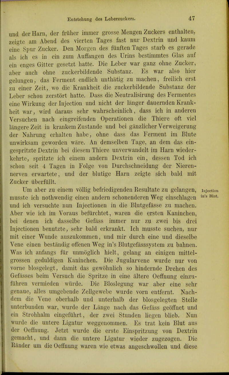 und der Harn, der früher immer grosse Mengen Zuckers enthalten, zeigte am Abend des vierten Tages fast nur Dextrin und kaum eine Spur Zucker. Den Morgen des fünften Tages starb es gerade als ich es in ein zum Auffangen des Urins bestimmtes Glas auf ein enges Gitter gesetzt hatte. Die Leber war ganz ohne Zucker, aber auch ohne zuckerbildende Substanz. Es war also hier gelungen; das Ferment endlich unthätig zu machen, freilich erst zu einer Zeit, wo die Krankheit die zuckerbildende Substanz der Leber schon zerstört hatte. Dass die Neutrahsirung des Fermentes eine Wirkung der Lijection und nicht der länger dauernden Krank- heit war, wird daraus sehr wahrscheinlich, dass ich in anderen Versuchen nach eingreifenden Operationen die Thiere oft viel längere Zeit in krankem Zustande und bei gänzlicher Verweigerung der Nahrung erhalten habe, ohne dass das Ferment im Blute unwirksam geworden wäre. An demselben Tage, an dem das ein- gespritzte Dextrin bei diesem Thiere unverwandelt im Harn wieder- kehrte, spritzte ich einem andern Dextrin ein, dessen Tod ich schon seit 4 Tagen in Folge von Durchschneidung der Nieren- uerven erwartete, und der blutige Harn zeigte sich bald mit Zucker überfüllt. Um aber zu einem völhg befriedigenden Resultate zu gelangen, injection musste ich nothwendig einen andern schonenderen Weg einschlagen ^^'^ und ich versuchte nun Lijectionen in die Blutgefässe zu machen. Aber wie ich im Voraus befürchtet, waren die ersten Kaninchen, bei denen ich dasselbe Gefäss immer nur zu zwei bis drei Injectionen benutzte, sehr bald erkrankt. Ich musste suchen, nur mit einer Wunde auszukommen, und mir durch eine und dieselbe Vene einen beständig offenen Weg in's Blutgefässsystem zu bahnen. Was ich anfangs für unmöglich hielt, gelang an einigen mittel- grossen geduldigen Kaninchen. Die Jugularvene wurde nur von vorne biosgelegt, damit das gewöhnlich so hindernde Drehen des Gefässes beim Versuch die Spritze in eine ältere Oeffnung einzu- führen vermieden würde. Die Bloslegung war aber eine sehr genaue, alles umgebende Zellgewebe wurde vorn entfernt. Nach- dem die Vene oberhalb und unterhalb der blosgelegten Stelle unterbunden war, wurde der Länge nach das Gefäss geöffnet und ein Strohhalm eingeführt, der zwei Stunden Hegen blieb. Nun wurde die untere Ligatur weggenommen. Es trat kein Blut aus der Oeffnung. Jetzt wurde die erste Einspritzung von Dextrin gemacht, und dann die untere Ligatur wieder zugezogen. Die Ränder um die Oeffnung waren wie etwas augeschwollen und diese