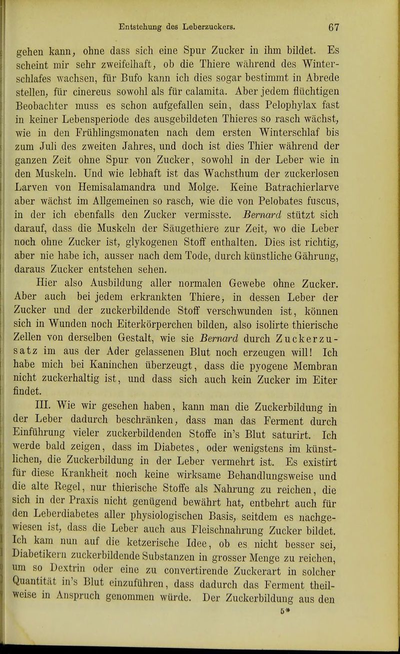 gehen kann, ohne dass sich eine Spur Zucker in ihm bildet. Es scheint mir sehr zweifelhaft, ob die Thiere während des Winter- schlafes wachsen, für Bufo kann ich dies sogar bestimmt in Abrede stellen, für cinereus sowohl als für calamita. Aber jedem flüchtigen Beobachter muss es schon aufgefallen sein, dass Pelophylax fast in keiner Lebensperiode des ausgebildeten Thieres so rasch wächst, wie in den Frühlingsmonaten nach dem ersten Winterschlaf bis zum Juli des zweiten Jahres, und doch ist dies Thier während der ganzen Zeit ohne Spur von Zucker, sowohl in der Leber wie in den Muskeln. Und wie lebhaft ist das Wachsthum der zuckerlosen Larven von Hemisalamandra und Molge. Keine Batrachierlarve aber wächst im Allgemeinen so rasch, wie die von Pelobates fuscus, in der ich ebenfalls den Zucker vermisste. Bernard stützt sich darauf, dass die Muskeln der Säugethiere zur Zeit, wo die Leber noch ohne Zucker ist, glykogenen Stoff enthalten. Dies ist richtig, aber nie habe ich, ausser nach dem Tode, durch künstliche Gährung, daraus Zucker entstehen sehen. Hier also Ausbildung aller normalen Gewebe ohne Zucker. Aber auch bei jedem erkrankten Thiere, in dessen Leber der Zucker und der zuckerbildende Stoff verschwunden ist, können sich in Wunden noch Eiterkörperchen bilden, also isolirte thierische Zellen von derselben Gestalt, wie sie Bernard durch Zuckerzu- satz im aus der Ader gelassenen Blut noch erzeugen will! Ich habe mich bei Kaninchen überzeugt, dass die pyogene Membran nicht zuckerhaltig ist, und dass sich auch kein Zucker im Eiter findet. III. Wie wir gesehen haben, kann man die Zuckerbüdung in der Leber dadurch beschränken, dass man das Ferment durch Einführung vieler zuckerbildenden Stoffe in's Blut saturirt. Ich werde bald zeigen, dass im Diabetes, oder wenigstens im künst- lichen, die Zuckerbildung in der Leber vermehrt ist. Es existirt für diese Krankheit noch keine wirksame Behandlungsweise und die alte Regel, nur thierische Stoffe als Nahrung zu reichen, die sich in der Praxis nicht genügend bewährt hat, entbehrt auch für den Leberdiabetes aller physiologischen Basis, seitdem es nachge- wiesen ist, dass die Leber auch aus Fleischnahrung Zucker bildet. Ich kam nun auf die ketzerische Idee, ob es nicht besser sei, Diabetikern zuckerbildende Substanzen in grosser Menge zu reichen, um so Dextrin oder eine zu convertirende Zuckerart in solcher Quantität in's Blut einzuführen, dass dadurch das Ferment theil- weise in Anspruch genommen würde. Der Zuckcrbildung aus den 5»