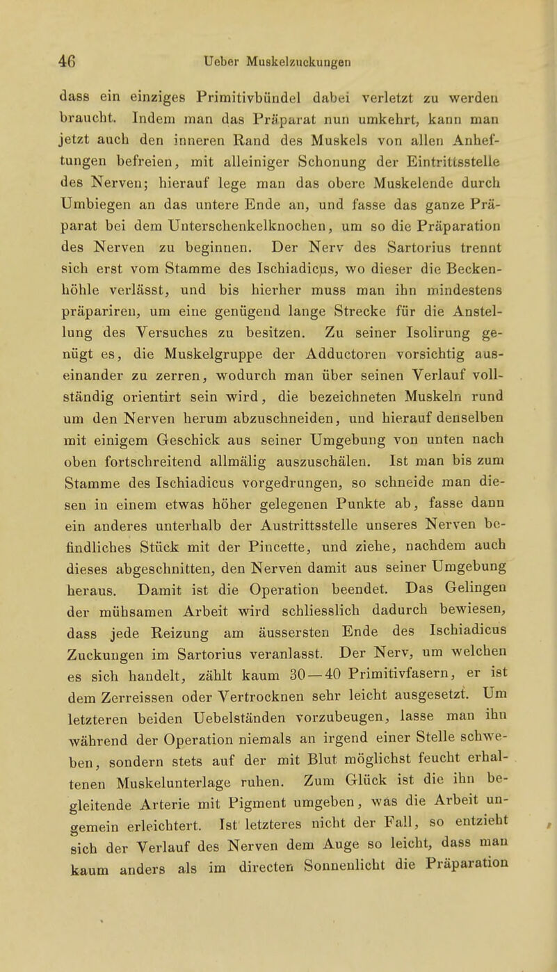 dass ein einziges Primitivbündel dabei verletzt zu werden braucht. Indem man das Präparat nun umkehrt, kann man jetzt auch den inneren Rand des Muskels von allen Anhef- tungen befreien, mit alleiniger Schonung der Eintrittsstelle des Nerven; hierauf lege man das obere Muskelende durch Umbiegen an das untere Ende an, und fasse das ganze Prä- parat bei dem Unterschenkelknochen, um so die Präparation des Nerven zu beginnen. Der Nerv des Sartorius trennt sich erst vom Stamme des Ischiadicjis, wo dieser die Becken- höhle verlässt, und bis hierher muss man ihn mindestens präpariren, um eine genügend lange Strecke für die Anstel- lung des Versuches zu besitzen. Zu seiner Isolirung ge- nügt es, die Muskelgruppe der Adductoren vorsichtig aus- einander zu zerren, wodurch man über seinen Verlauf voll- ständig orientirt sein wird, die bezeichneten Muskeln rund um den Nerven herum abzuschneiden, und hierauf denselben mit einigem Geschick aus seiner Umgebung von unten nach oben fortschreitend allmälig auszuschälen. Ist man bis zum Stamme des Ischiadicus vorgedrungen, so schneide man die- sen in einem etwas höher gelegenen Punkte ab, fasse dann ein anderes unterhalb der Austrittsstelle unseres Nerven be- findliches Stück mit der Pincette, und ziehe, nachdem auch dieses abgeschnitten, den Nerven damit aus seiner Umgebung heraus. Damit ist die Operation beendet. Das Gelingen der mühsamen Arbeit wird schliesslich dadurch bewiesen, dass jede Reizung am äussersten Ende des Ischiadicus Zuckungen im Sartorius veranlasst. Der Nerv, um welchen es sich handelt, zählt kaum 30 — 40 Primitivfasern, er ist dem Zerreissen oder Vertrocknen sehr leicht ausgesetzt. Um letzteren beiden Uebelständen vorzubeugen, lasse man ihn während der Operation niemals an irgend einer Stelle schwe- ben, sondern stets auf der mit Blut möglichst feucht erhal- tenen Muskelunterlage ruhen. Zum Glück ist die ihn be- gleitende Arterie mit Pigment umgeben, was die Arbeit un- gemein erleichtert. Ist letzteres nicht der Fall, so entzieht sich der Verlauf des Nerven dem Auge so leicht, dass mau kaum anders als im directen Sonnenlicht die Präparation