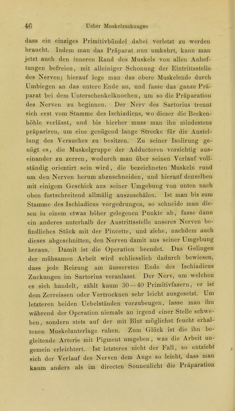 dass ein einziges Primitivbündel dabei verletzt zu werden braucht. Indem man das Präparat nun umkehrt, kann man jetzt auch den inneren Rand des Muskels von allen Anhef- tungen befreien, mit alleiniger Schonung der Eintrittsstelle des Nerven; hierauf lege man das obere Muskelende durch Umbiegen an das untere Ende an, und fasse das ganze Prä- parat bei dem Unterschenkelknochen, um so die Präparation des Nerven zu beginnen. Der Nerv des Sartorius trennt sich erst vom Stamme des Ischiadicjis, wo dieser die Becken- höhle verlässt, und bis hierher muss man ihn mindestens präpariren, um eine genügend lange Strecke für die Anstel- lung des Versuches zu besitzen. Zu seiner Isolirung ge- nügt es, die Muskelgruppe der Adductoren vorsichtig aus- einander zu zerren, wodurch man über seinen Verlauf voll- ständig orientirt sein wird, die bezeichneten Muskeln rund um den Nerven herum abzuschneiden, und hierauf denselben mit einigem Geschick aus seiner Umgebung von unten nach oben fortschreitend allmälig auszuschälen. Ist man bis zum Stamme des Ischiadicus vorgedrungen, so schneide man die- sen in einem etwas höher gelegenen Punkte ab, fasse dann ein anderes unterhalb der Austrittsstelle unseres Nerven be- findliches Stück mit der Pincette, und ziehe, nachdem auch dieses abgeschnitten, den Nerven damit aus seiner Umgebung heraus. Damit ist die Operation beendet. Das Gelingen der mühsamen Arbeit wird schliesslich dadurch bewiesen, dass jede Reizung am äussersten Ende des Ischiadicus Zuckungen im Sartorius veranlasst. Der Nerv, um welchen es sich handelt, zählt kaum 30 — 40 Primitivfasern, er ist dem Zerreissen oder Vertrocknen sehr leicht ausgesetzt. Um letzteren beiden Uebelständen vorzubeugen, lasse man ihn während der Operation niemals an irgend einer Stelle schwe- ben, sondern stets auf der mit Blut möglichst feucht erhal- tenen Muskelunterlage ruhen. Zum Glück ist die ihn be- gleitende Arterie mit Pigment umgeben, was die Arbeit un- gemein erleichtert. Ist letzteres nicht der Fall, so entzieht sich der Verlauf des Nerven dem Auge so leicht, dass mau kaum anders als im directen Sonnenlicht die Präparation