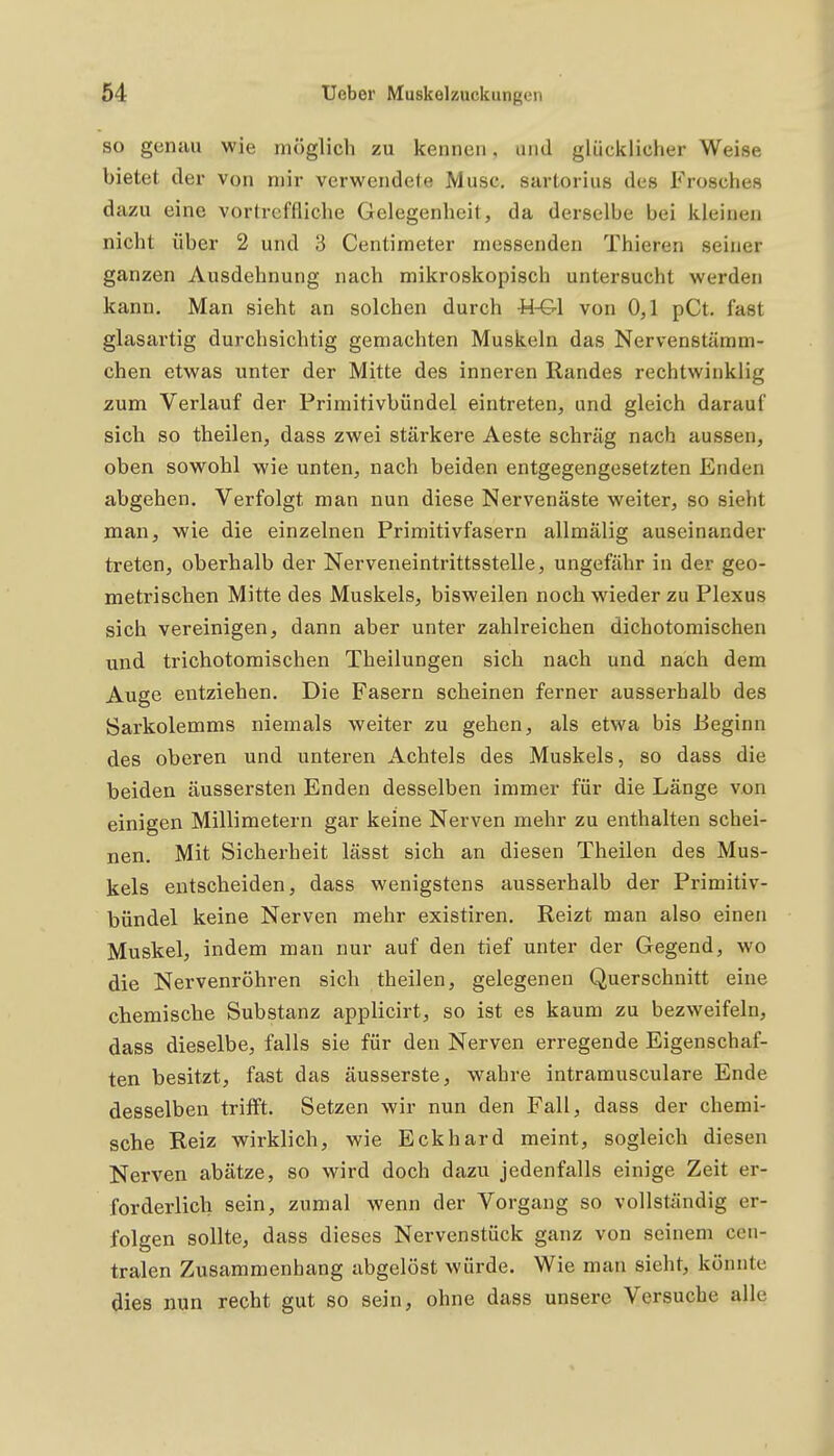 so genau wie möglich zu kennen, und glücklicher Weise bietet der von mir verwendete Muse, sartorius des Frosches da/AI eine vortreffliche Gelegenheit, da derselbe bei kleinen nicht über 2 und 3 Centimeter messenden Thieren seiner ganzen Ausdehnung nach mikroskopisch untersucht werden kann. Man sieht an solchen durch U-&\ von 0,1 pCt. fast glasartig durchsichtig gemachten Muskeln das Nervenstämm- chen etwas unter der Mitte des inneren Randes rechtwinklig zum Verlauf der Primitivbündel eintreten, und gleich darauf sich so theilen, dass zwei stärkere Aeste schräg nach aussen, oben sowohl wie unten, nach beiden entgegengesetzten Enden abgehen. Verfolgt man nun diese Nervenäste weiter, so sieht man, wie die einzelnen Primitivfasern allmälig auseinander treten, oberhalb der Nerveneintrittsstelle, ungefähr in der geo- metrischen Mitte des Muskels, bisweilen noch wieder zu Plexus sich vereinigen, dann aber unter zahlreichen dichotomischen und trichotomischen Theilungen sich nach und nach dem Auge entziehen. Die Fasern scheinen ferner ausserhalb des Sarkolemms niemals weiter zu gehen, als etwa bis Beginn des oberen und unteren Achtels des Muskels, so dass die beiden äussersten Enden desselben immer für die Länge von einigen Millimetern gar keine Nerven mehr zu enthalten schei- nen. Mit Sicherheit lässt sich an diesen Theilen des Mus- kels entscheiden, dass wenigstens ausserhalb der Primitiv- bündel keine Nerven mehr existiren. Reizt man also einen Muskel, indem man nur auf den tief unter der Gegend, wo die Nervenröhren sich theilen, gelegenen Querschnitt eine chemische Substanz applicirt, so ist es kaum zu bezweifeln, dass dieselbe, falls sie für den Nerven erregende Eigenschaf- ten besitzt, fast das äusserste, wahre intramusculare Ende desselben trifft. Setzen wir nun den Fall, dass der chemi- sche Reiz wirklich, wie Eckhard meint, sogleich diesen Nerven abätze, so wird doch dazu jedenfalls einige Zeit er- forderlich sein, zumal wenn der Vorgang so vollständig er- folgen sollte, dass dieses Nervenstück ganz von seinem cen- tralen Zusammenhang abgelöst würde. Wie man sieht, könnte dies nun recht gut so sein, ohne dass unsere Versuche alle