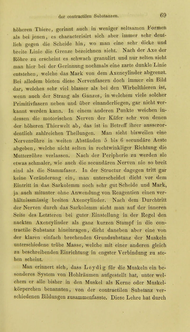 höheren Tbiere, gerinnt auch in weniger seltsamen Formen als bei jenen, es cbaracterisirt sich aber immer sehr deut- lich gegen die Scheide hin, wo man eine sehr dicke und breite Linie die Grenze bezeichnen sieht. Nach der Axe der Röhre zu erscheint es schwach granulirt und nur selten sieht man hier bei der Gerinnung nochmals eine zarte dunkle Linie entstehen, welche das Mark von dem Axencylinder abgrenzt. Bei alledem bieten diese Nervenfasern doch immer ein Bild dar, welches sehr viel blasser als bei den Wirbelthieren ist, wenn auch der Strang als Ganzes, in welchem viele solcher Primitivfasern neben und über ein anderliegen, gar nicht ver- kannt werden kann. In einem anderen Punkte weichen in- dessen die motorischen Nerven der Käfer sehr von denen der höheren Thierwelt ab, das ist in Betreff ihrer ausseror- dentlich zahlreichen Theilungen. Man sieht bisweilen eine Nervenröhre in weiten Abständen 5 bis 6 secundäre Aeste abgeben, welche nicht selten in rechtwinkliger Richtung die Mutterröhre verlassen. Nach der Peripherie zu werden sie etwas schmaler, wie auch die secundären Nerven nie so breit sind als die Stammfaser, In der Structur dagegen tritt gar keine Veränderung ein, man unterscheidet dicht vor dem Eintritt in das Sarkolemm noch sehr gut Scheide und Mark, ja auch mitunter ohne Anwendung von Reagentien einen ver- hältnissmässig breiten Axencylinder. Nach dem Durchtritt der Nerven durch das Sarkolemm sieht man auf der inneren Seite des Letzteren bei guter Einstellung in der Regel den nackten Axencylinder als ganz kurzen Stumpf in die con- tractile Substanz hineinragen, dicht daneben aber eine von der klaren einfach brechenden Grundsubstanz der Muskeln unterschiedene trübe Masse, welche mit einer anderen gleich zu beschreibenden Einrichtung in engster Verbindung zu ste- hen scheint. Man erinnert sich, dass Leydig für die Muskeln ein be- sonderes System von Hohlräumen aufgestellt hat, unter wel- ch em er alle bisher in den Muskel als Kerne oder Muskel- körperchen benannten, von der contractilen Substanz ver- schiedenen Bildungen zusammenfasste. Diese Lehre hat durch