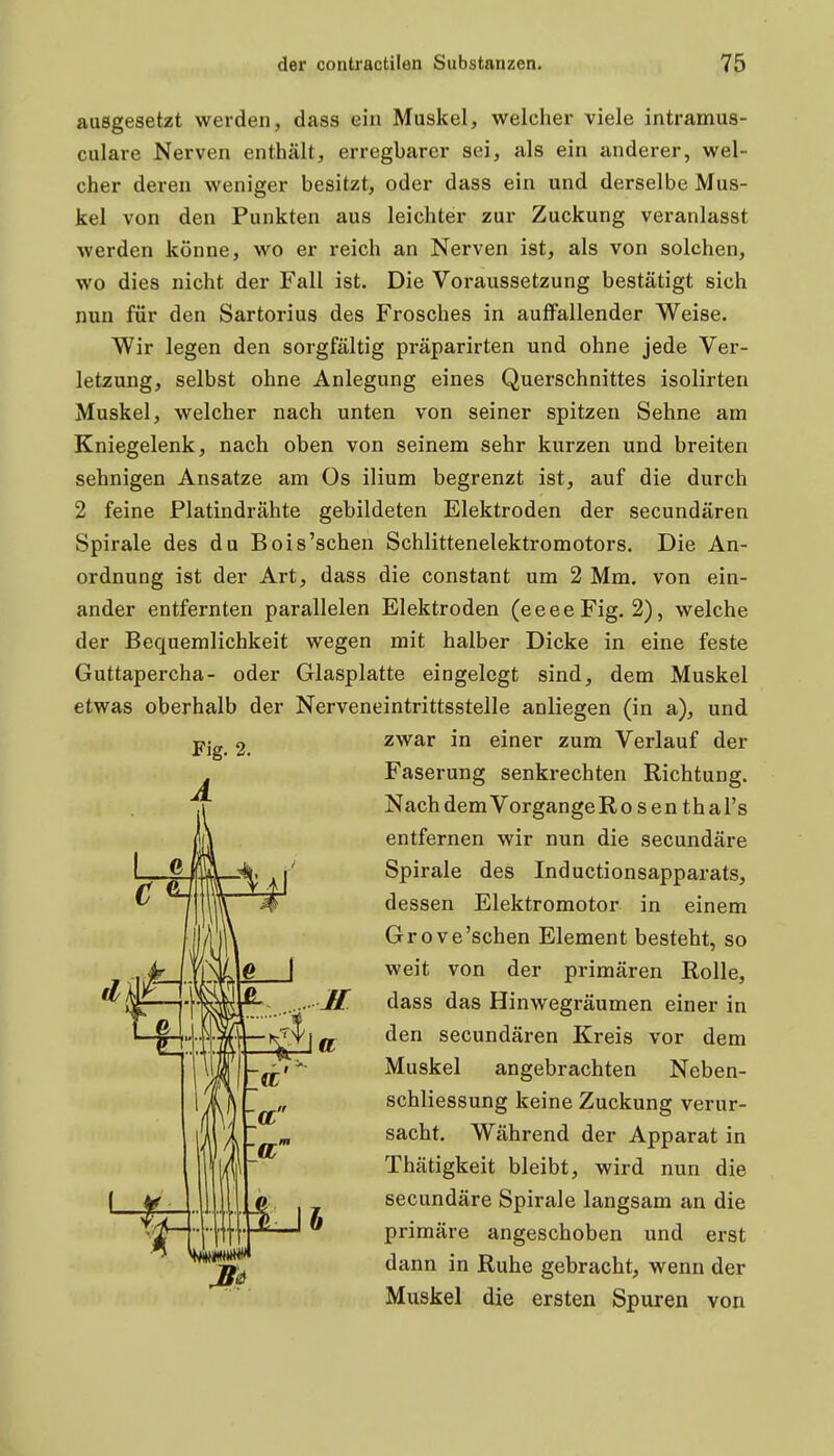 ausgesetzt werden, dass ein Muskel, welcher viele intramus- culare Nerven enthält, erregbarer sei, als ein anderer, wel- cher deren weniger besitzt, oder dass ein und derselbe Mus- kel von den Punkten aus leichter zur Zuckung veranlasst werden könne, wo er reich an Nerven ist, als von solchen, wo dies nicht der Fall ist. Die Voraussetzung bestätigt sich nun für den Sartorius des Frosches in auffallender Weise. Wir legen den sorgfältig präparirten und ohne jede Ver- letzung, selbst ohne Anlegung eines Querschnittes isolirteu Muskel, welcher nach unten von seiner spitzen Sehne am Kniegelenk, nach oben von seinem sehr kurzen und breiten sehnigen Ansätze am Os ilium begrenzt ist, auf die durch 2 feine Platindrähte gebildeten Elektroden der secundären Spirale des du Bois'schen Schlittenelektromotors. Die An- ordnung ist der Art, dass die constant um 2 Mm. von ein- ander entfernten parallelen Elektroden (eeeeFig. 2), welche der Bequemlichkeit wegen mit halber Dicke in eine feste Guttapercha- oder Glasplatte eingelegt sind, dem Muskel etwas oberhalb der Nerveneintrittsstelle anliegen (in a), und zwar in einer zum Verlauf der Faserung senkrechten Richtung. Nach demVorgangeRo sen thal's entfernen wir nun die secundäre Spirale des Inductionsapparats, dessen Elektromotor in einem Grove'schen Element besteht, so weit von der primären Rolle, dass das Hinwegräumen einer in den secundären Kreis vor dem Muskel angebrachten Neben- schliessung keine Zuckung verur- sacht. Während der Apparat in Thätigkeit bleibt, wird nun die secundäre Spirale langsam an die primäre angeschoben und erst dann in Ruhe gebracht, wenn der Muskel die ersten Spuren von
