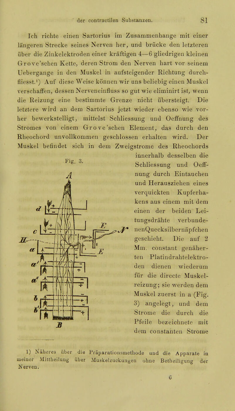 Ich richte einen Sartorius im Zusammenhange mit einer längeren Strecke seines Nerven her, und brücke den letzteren über die Zinkelektroden einer kräftigen 4—6 gliedrigen kleinen Grove'schen Kette, deren Strom den Nerven hart vor seinem Uebergange in den Muskel in aufsteigender Richtung durch- fliesst.') Auf diese Weise können wir uns beliebig einen Muskel verschaffen, dessen Nerveneinfluss so gut wie eliminirt ist, wenn die Reizung eine bestimmte Grenze nicht übersteigt. Die letztere wird an dem Sartorius jetzt wieder ebenso wie vor- her bcAverkstelligt, mittelst Schliessung und Oeffnung des Stromes von einem Grove'schen Element, das durch den Rheochord unvollkommen geschlossen erhalten wird. Der Muskel befindet sich in dem Zweigstrome des Rheochords innerhalb desselben die Schliessung und Oeff- nung durch Eintauchen und Herausziehen eines verquickten Kupferha- kens aus einem mit dem einen der beiden Lei- tungsdrähte verbunde- J§^ nenQuecksilbernäpfchen geschieht. Die auf 2 Mm. constant genäher- ten Platindrahtelektro- den dienen wiederum für die directe Muskel- reizung; sie werden dem Muskel zuerst in a (Fig. 3) angelegt, und dem Strome die durch die Pfeile bezeichnete mit dem constahten Strome 1) ^^ähel•e3 über die Präparationsmethode und die Apparate in meiner Mittheilung über Muskelzuckungeu ohne Betheiligung der ^i'erven. ü I