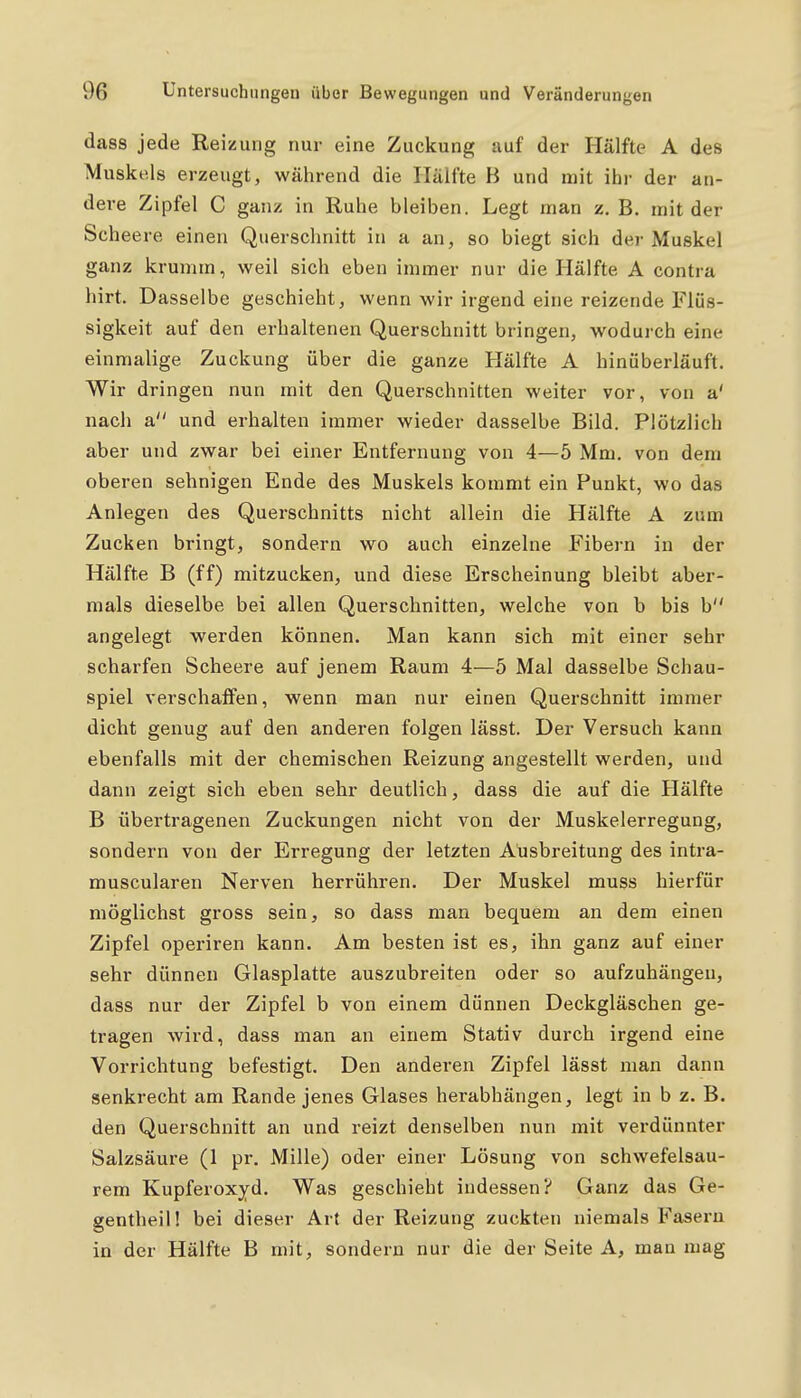dass jede Reizung nur eine Zuckung auf der Hälfte A des Muskels erzeugt, während die Hälfte B und mit ihr der an- dere Zipfel C ganz in Ruhe bleiben. Legt man z. B. mit der Scheere einen Querschnitt in a an, so biegt sich der Muskel ganz krumm, weil sich eben immer nur die Hälfte A contra hirt. Dasselbe geschieht, wenn wir irgend eine reizende Flüs- sigkeit auf den erhaltenen Querschnitt bringen, wodurch eine einmalige Zuckung über die ganze Hälfte A hinüberläuft. Wir dringen nun mit den Querschnitten weiter vor, von a' nach a und erhalten immer wieder dasselbe Bild. Plötzlich aber und zwar bei einer Entfernung von 4—5 Mm. von dem oberen sehnigen Ende des Muskels kommt ein Punkt, wo das Anlegen des Querschnitts nicht allein die Hälfte A zum Zucken bringt, sondern wo auch einzelne Fibern in der Hälfte B (ff) mitzucken, und diese Erscheinung bleibt aber- mals dieselbe bei allen Querschnitten, welche von b bis b angelegt werden können. Man kann sich mit einer sehr scharfen Scheere auf jenem Raum 4—5 Mal dasselbe Schau- spiel verschalfen, wenn man nur einen Querschnitt immer dicht genug auf den anderen folgen lässt. Der Versuch kann ebenfalls mit der chemischen Reizung angestellt werden, und dann zeigt sich eben sehr deutlich, dass die auf die Hälfte B übertragenen Zuckungen nicht von der Muskelerregung, sondern von der Erregung der letzten Ausbreitung des intra- muscularen Nerven herrühren. Der Muskel muss hierfür möglichst gross sein, so dass man bequem an dem einen Zipfel operiren kann. Am besten ist es, ihn ganz auf einer sehr dünnen Glasplatte auszubreiten oder so aufzuhängen, dass nur der Zipfel b von einem dünnen Deckgläschen ge- tragen wird, dass man an einem Stativ durch irgend eine Vorrichtung befestigt. Den anderen Zipfel lässt man dann senkrecht am Rande jenes Glases herabhängen, legt in b z. B. den Querschnitt an und reizt denselben nun mit verdünnter Salzsäure (1 pr. Mille) oder einer Lösung von schwefelsau- rem Kupferoxyd. W^as geschieht indessen? Ganz das Ge- gentheil! bei dieser Art der Reizung zuckten niemals Fasern in der Hälfte B mit, sondern nur die der Seite A, man mag