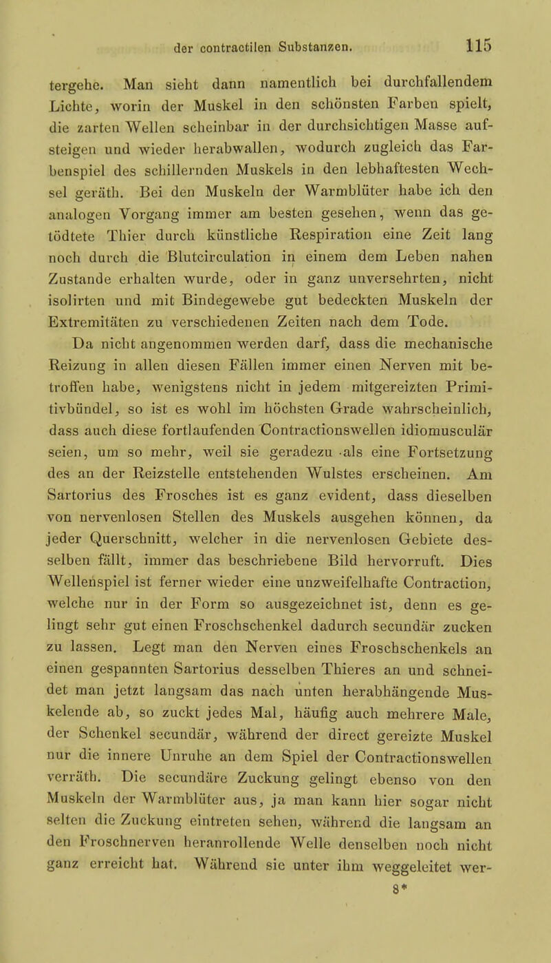 tergehe. Man sieht dann namentlich bei durchfallendem Lichte, worin der Muskel in den schönsten Farben spielt, die zarten Wellen scheinbar in der durchsichtigen Masse auf- steigen und wieder herabwallen, wodurch zugleich das Far- benspiel des schillernden Muskels in den lebhaftesten Wech- sel geräth. Bei den Muskeln der Warmblüter habe ich den analogen Vorgang immer am besten gesehen, wenn das ge- tödtete Thier durch künstliche Respiration eine Zeit lang noch durch die Blutcirculation in einem dem Leben nahen Zustande erhalten wurde, oder in ganz unversehrten, nicht isolirten und mit Bindegewebe gut bedeckten Muskeln der Extremitäten zu verschiedenen Zeiten nach dem Tode. Da nicht angenommen werden darf, dass die mechanische Reizung in allen diesen Fällen immer einen Nerven mit be- troffen habe, wenigstens nicht in jedem mitgereizten Primi- tivbündel, so ist es wohl im höchsten Grade wahrscheinlich, dass auch diese fortlaufenden Contractionswellen idiomusculär seien, um so mehr, weil sie geradezu als eine Fortsetzung des an der Reizstelle entstehenden Wulstes erscheinen. Am Sartorius des Frosches ist es ganz evident, dass dieselben von nervenlosen Stellen des Muskels ausgehen können, da jeder Querschnitt, welcher in die nervenlosen Gebiete des- selben fällt, immer das beschriebene Bild hervorruft. Dies Wellehspiel ist ferner wieder eine unzweifelhafte Contraction, welche nur in der Form so ausgezeichnet ist, denn es ge- lingt sehr gut einen Froschschenkel dadurch secundär zucken zu lassen. Legt man den Nerven eines Froschschenkels an einen gespannten Sartorius desselben Thieres an und schnei- det man jetzt langsam das nach unten herabhängende Mus- kelende ab, so zuckt jedes Mal, häufig auch mehrere Male, der Schenkel secundär, während der direct gereizte Muskel nur die innere Unruhe an dem Spiel der Contractionswellen verräth. Die secundäre Zuckung gelingt ebenso von den Muskeln der Warmblüter aus, ja man kann hier sogar nicht selten die Zuckung eintreten sehen, während die langsam an den Froschnerven heranrollende Welle denselben noch nicht ganz erreicht hat. Während sie unter ihm weggeleitet wer- 8*
