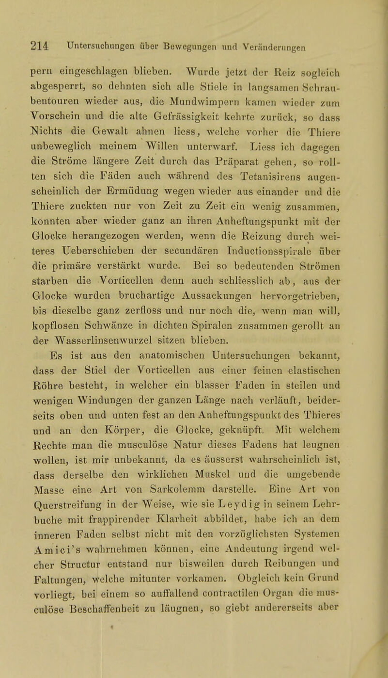 peni eingeschhigen blieben. Wurde jetzt der Reiz sogleich abgesperrt, so dehnten sich alle Stiele in langsamen Schrau- bentouren wieder aus, die Mundwimpern kamen wieder zum Vorschein und die alte Gefrässigkeit kehrte zurück, so dass Nichts die Gewalt ahnen Hess, welche vorher die Thiere unbeweglich meinem Willen unterwarf. Liess ich dagegen die Ströme längere Zeit durch das Präparat gehen, so roll- ten sich die Fäden auch während des Tetanisirens augen- scheinlich der Ermüdung wegen wieder aus einander und die Thiere zuckten nur von Zeit zu Zeit ein wenig zusammen, konnten aber wieder ganz an ihren Anheftungspunkt mit der Glocke herangezogen werden, wenn die Reizung durch wei- teres Ueberschieben der secundären Inductionsspirale über die primäre verstärkt wurde. Bei so bedeutenden Strömen starben die Vorticellen denn auch schliesslich ab, aus der Glocke wurden bruchartige Aussackungen hervorgetrieben, bis dieselbe ganz zerfloss und nur noch die, wenn man will, kopflosen Schwänze in dichten Spiralen zusammen gerollt au der Wasserlinsenwurzel sitzen blieben. Es ist aus den anatomischen Untersuchungen bekannt, dass der Stiel der Vorticellen aus einer feinen elastischen Röhre besteht, in welcher ein blasser Faden in steilen und wenigen Windungen der ganzen Länge nach verläuft, beider- seits oben und unten fest an den Anheftungspunkt des Thieres und an den Körper, die Glocke, geknüpft. Mit welchem Rechte man die musculöse Natur dieses Fadens hat leugnen wollen, ist mir unbekannt, da es äusserst wahrscheinlich ist, dass derselbe den wirklichen Muskel und die umgebende Masse eine Art von Sarkolemm darstelle. Eine Art von Querstreifung in der Weise, wie sie Leydig in seinem Lehr- buche mit frappirender Klarheit abbildet, habe ich an dem inneren Faden selbst nicht mit den vorzüglichsten Systemen Amici's wahrnehmen können, eine Andeutung irgend wel- cher Structur entstand nur bisweilen durch Reibungen und Faltungen, welche mitunter vorkamen. Obgleich kein Grund vorliegt, bei einem so auffallend contractilen Organ die mus- culöse Beschaffenheit zu läugnen, so giebt andererseits aber