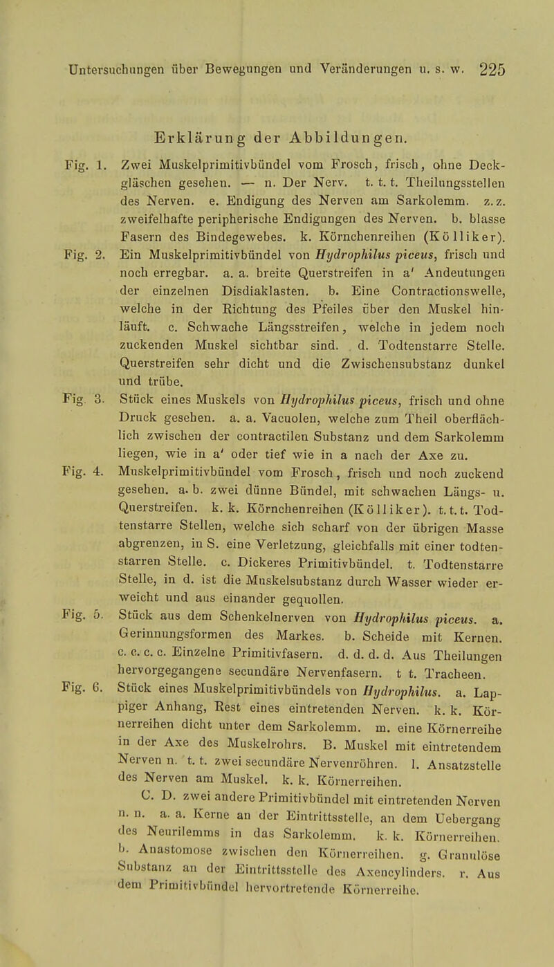 Erklärung der Abbildungen, Fig. 1. Zwei Muskelprimitivbündel vom Frosch, frisch, ohne Deck- gläschen gesehen. — n. Der Nerv. t. 1.1. Theilungsstellen des Nerven, e. Endigung des Nerven am Sarkolemm. z. z. zweifelhafte peripherische Endigungen des Nerven, b. blasse Fasern des Bindegewebes, k. Körnchenreihen (Kölliker). Fig. 2. Ein Muskelprimitivbündel von Hydrophilus piceus, frisch nnd noch erregbar, a. a. breite Querstreifen in a' Andeutungen der einzelnen Disdiaklasten, b. Eine Contractionswelle, welche in der Richtung des Pfeiles über den Muskel hin- läuft, c. Schwache Längsstreifen, welche in jedem noch zuckenden Muskel sichtbar sind. d. Todtenstarre Stelle. Querstreifen sehr dicht und die Zwischensubstanz dunkel und trübe. Fig. 3. Stück eines Muskels von Hydvopliilus picßus, frisch und ohne Druck gesehen, a. a. Vacuolen, welche zum Theil oberfläch- lich zwischen der contractilen Substanz und dem Sarkolemm liegen, wie in a' oder tief wie in a nach der Axe zu. Fig. 4. Muskelprimitivbündel vom Frosch, frisch und noch zuckend gesehen, a. b. zwei dünne Bündel, mit schwachen Längs- u. Querstreifen, k. k. Körnchenreihen (Kölliker). t.t.t. Tod- tenstarre Stellen, welche sich scharf von der übrigen Masse abgrenzen, in S. eine Verletzung, gleichfalls mit einer todten- starren Stelle, c. Dickeres Primitivbündel, t. Todtenstarre Stelle, in d. ist die Muskelsubstanz durch Wasser wieder er- weicht und aus einander gequollen. Fig. 5. Stück aus dem Schenkelnerven von Hydrophilus piceus. a. Gerinnungsformen des Markes. b. Scheide mit Kernen, c. c. c. c. Einzelne Primitivfasern, d. d. d. d. Aus Theilungen hervorgegangene secundäre Nervenfasern, t t. Tracheen. Fig. 6. Stück eines Muskelprimitivbündels von Hydrophilus. a. Lap- piger Anhang, Rest eines eintretenden Nerven, k. k. Kör- nerreihen dicht unter dem Sarkolemm. m. eine Körnerreihe in der Axe des Muskelrohrs. B. Muskel mit eintretendem Nerven n. 1.1. zwei secundäre Nervenröhren. 1. Ansatzstelle des Nerven am Muskel, k. k. Körnerreihen. C. D. zwei andere Primitivbündel mit eintretenden Nerven n. n. a. a. Kerne an der Eintrittsstelle, an dem Uebergang des Neurilemms in das Sarkolemm. k. k. Körnerreihen, b. Anastomose zwischen den Körnerreihen, g. Granulöse Substanz an der Eintrittsstelle des Axencylinders. r. Aus dem Primitivbündel hervortretende Körnerreihe. f