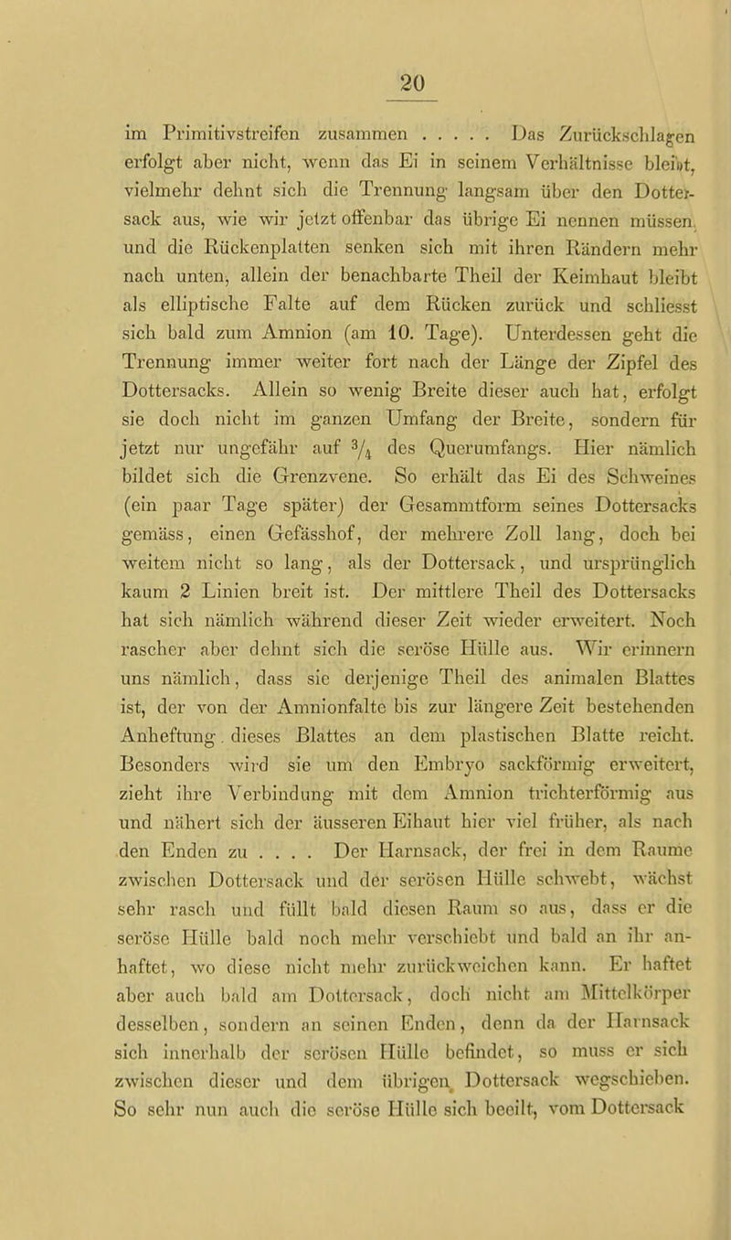 im Pi'imitivstreifen zusammen Das Zurücksclilajen erfolgt aber nicht, wenn das Ei in seinem Verhältnisse bleiat, vielmehr dehnt sich die Trennung langsam über den Dottei- sack aus, wie wir jetzt offenbar das übrige Ei nennen müssen, und die Rückenplalten senken sich mit ihren Rändern mehr nach unten, allein der benachbarte Theil der Keimhaut bleibt als elliptische Falte auf dem Rücken zurück und schliesst sich bald zum Amnion (am 10. Tage). Unterdessen geht die Trennung immer weiter fort nach der Länge der Zipfel des Dottersacks. Allein so wenig Breite dieser auch hat, erfolgt sie doch nicht im ganzen Umfang der Breite, sondern für jetzt nur ungefähr auf 3/^ des Querumfangs. Hier nämlich bildet sich die Grenzvene. So erhält das Ei des Schweines (ein paar Tage später) der Gesammtform seines Dottersacks gemäss, einen Gefässhof, der mehrere Zoll lang, doch bei weitem nicht so lang, als der Dottersack, und ursprünglich kaum 2 Linien breit ist. Der mittlere Theil des Dottersacks hat sich nämlich während dieser Zeit wieder erweitert. Noch rascher aber dehnt sich die seröse Hülle aus. Wir* erinnern uns nämlich, dass sie derjenige Theil des animalen Blattes ist, der von der Amnionfalte bis zur längere Zeit bestehenden Anheftung, dieses Blattes an dem plastischen Blatte reicht. Besonders wird sie um den Embryo sackförmig erweitert, zieht ihre Verbindung mit dem Amnion trichterförmig aus und nähert sich der äusseren Eihaut hier viel früher, als nach den Enden zu ... . Der Harnsack, der frei in dem Räume zwischen Dottersack und der serösen Hülle schwebt, wächst sehr rasch und füllt bald diesen Raum so aus, dass er die seröse Hülle bald noch mehr verschiebt und bald an ihr an- haftet, wo diese nicht mehr zurückweichen kann. Er haftet aber auch bald am Dottersack, doch nicht am Mittelkörper desselben, sondern an seinen Enden, denn da der Harnsack sich innerhalb der serösen H^ülle befindet, so muss er sich zwischen dieser und dem übrigen Dottersack wegschielien. So sehr nun auch die seröse Hülle sich beeilt, vom Dottersack