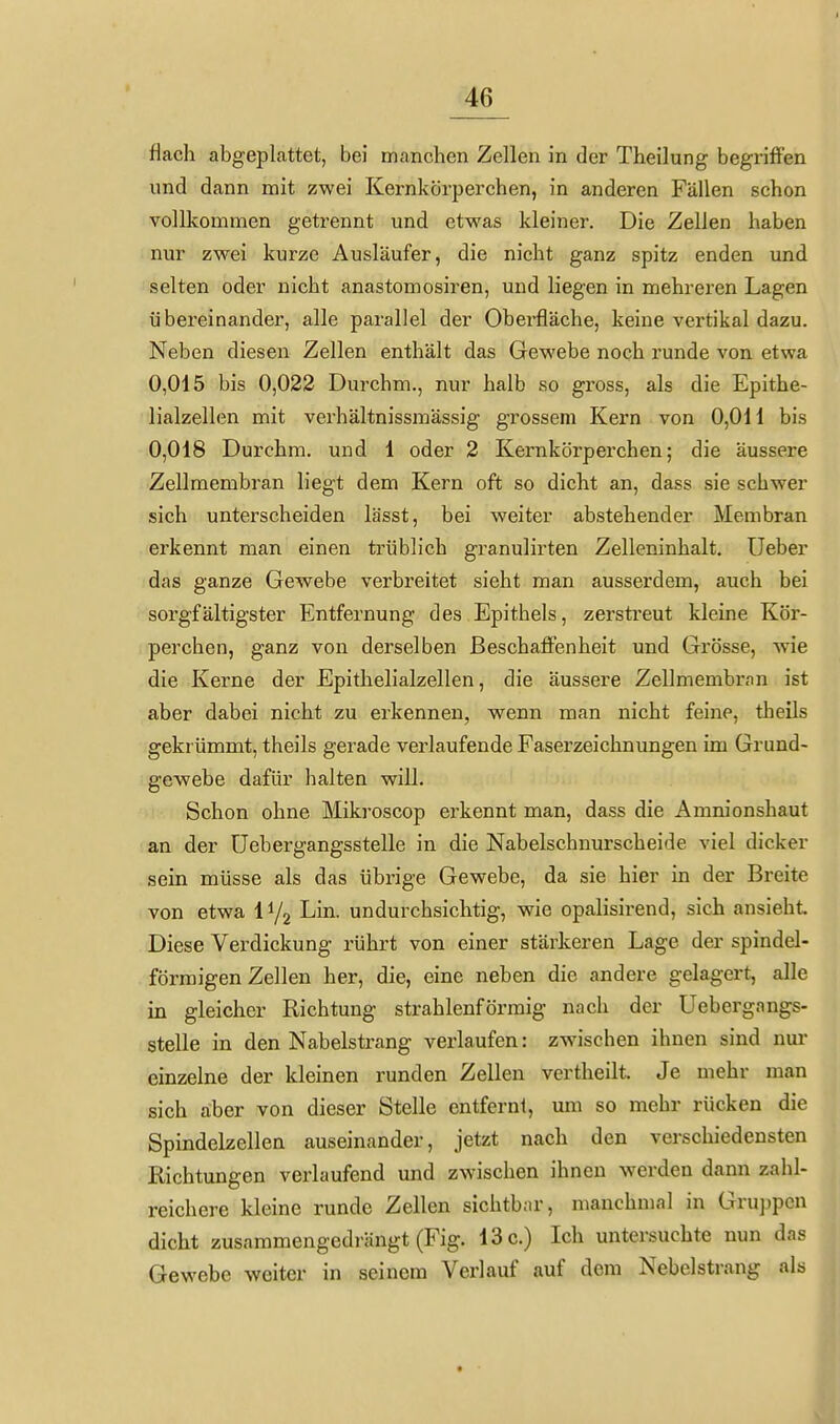 flach abgeplattet, bei manchen Zellen in der Theilung begriffen und dann mit zwei Kernkörperchen, in anderen Fällen schon vollkommen getrennt und etwas kleiner. Die Zellen haben nur zwei kurze Ausläufer, die nicht ganz spitz enden und selten oder nicht anastomosiren, und liegen in mehreren Lagen übereinander, alle parallel der Oberfläche, keine vertikal dazu. Neben diesen Zellen enthält das Gewebe noch runde von etwa 0,015 bis 0,022 Durchm., nur halb so gross, als die Epithe- lialzellen mit verhältnissmässig grossem Kern von 0,011 bis 0,018 Durchm. und 1 oder 2 Kernkörperchen; die äussere Zellmembran liegt dem Kern oft so dicht an, dass sie schwer sich unterscheiden lässt, bei weiter abstehender Membran erkennt man einen trüblich granulirten Zelleninhalt, üeber das ganze Gewebe verbreitet sieht man ausserdem, auch bei sorgfältigster Entfernung des Epithels, zerstreut kleine Kör- perchen, ganz von derselben Beschaffenheit und Grösse, wie die Kerne der Epithelialzellen, die äussere Zellmembran ist aber dabei nicht zu erkennen, wenn man nicht feine, theils gekrümmt, theils gerade verlaufende Faserzeichnungen im Grund- gewebe dafür halten will. Schon ohne Mikroscop erkennt man, dass die Amnionshaut an der üebergangsstelle in die Nabelschnurscheide viel dicker sein müsse als das übi'ige Gewebe, da sie hier in der Breite von etwa i^j^ Ein. undurchsichtig, wie opalisirend, sich ansieht Diese Verdickung rührt von einer stärkeren Lage der spindel- förmigen Zellen her, die, eine neben die andere gelagert, alle in gleicher Richtung strahlenförmig nach der üebergangs- stelle in den Nabelstrang verlaufen: zwischen ihnen sind nur einzelne der kleinen runden Zellen vertheilt Je mehr man sich aber von dieser Stelle entfernl, um so mehr rücken die Spindelzellen auseinander, jetzt nach den verschiedensten Richtungen verlaufend und zwischen ihnen werden dann zahl- reichere kleine runde Zellen sichtbar, manchmal in Gruppen dicht zusammengedrängt (Fig. 13 c.) Ich untersuchte nun das Gewebe weiter in seinem Verlauf auf dem Nebelstrang als