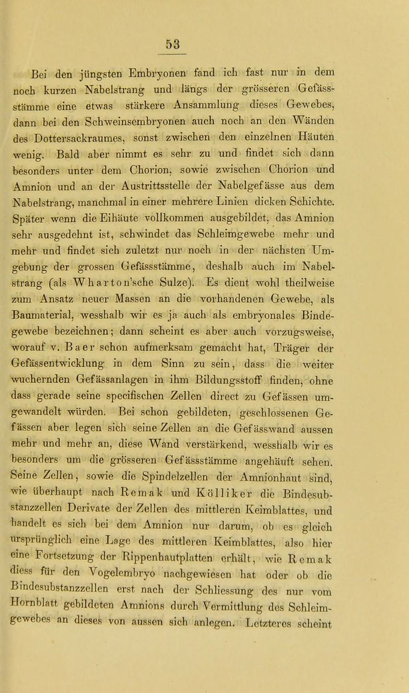 Bei den jüngsten Embryonen fand ich fast nur in dem noch km-zen Nabelstrang und längs der grösseren Gefäss- stämme eine etwas stärkere Ansammlung dieses Gewebes, dann bei den Schweinsembryonen auch noch an den Wänden des Dottersackraumes, sonst zwischen den einzelnen Häuten wenig. Bald aber nimmt es sehr zu und findet sich dann besonders unter dem Chorion, sowie zwischen Chorion und Amnion und an der Austrittsstelle der Nabelgefässe aus dem Nabelstrang, manchmal in einer mehrere Linien dicken Schichte. Später wenn die Eihäute vollkommen ausgebildet, das Amnion sehr ausgedehnt ist, schwindet das Schleimgewebe mekr und mehr und findet sich zuletzt nur noch in der nächsten Um- gebung der grossen Gefässstämme, deshalb auch im Nabel- strang (als Wharton'sche Sülze). Es dient wohl theilweise zum Ansatz neuer Massen an die vorhandenen Gewebe, als Baumaterial, wesshalb wir es ja auch als embryonales Binde- gewebe bezeichnen; dann scheint es aber auch vorzugsweise, worauf v. Baer schon aufmerksam gemacht hat, Träger der Gefässentwicklung in dem Sinn zu sein, dass die weiter wuchernden Gefässanlagen in ihm Bildungsstoflf finden, ohne dass gerade seine specifischen Zellen direct zu Gefässen um- gewandelt würden. Bei schon gebildeten, geschlossenen Ge- fässen aber legen sich seine Zellen an die Gef ässwand aussen mehr und mehr an, diese Wand verstärkend, wesshalb wir es besonders um die grösseren Gefässstämme angehäuft sehen. Seine Zellen, sowie die Spindelzellen der Amnionhaut sind, wie überhaupt nach Remak und Kölliker die Bindesub- stanzzellen Derivate der Zellen des mittleren Keimblattes, und handelt es sich bei dem Amnion nur darum, ob es gleich ursprünglich eine Lage des mittleren Keimblattes, also hier eine Fortsetzung der Rippenhautplatten erhält, wie Remak diess für den Vogelembryo nachgewiesen hat oder ob die Bindesubstanzzellen erst nach der Schliessung des nur vom Hornblatt gebildeten Amnions durch Vermittlung des Schleim- gewebes an dieses von aussen sich anlegen. Letzteros scheint
