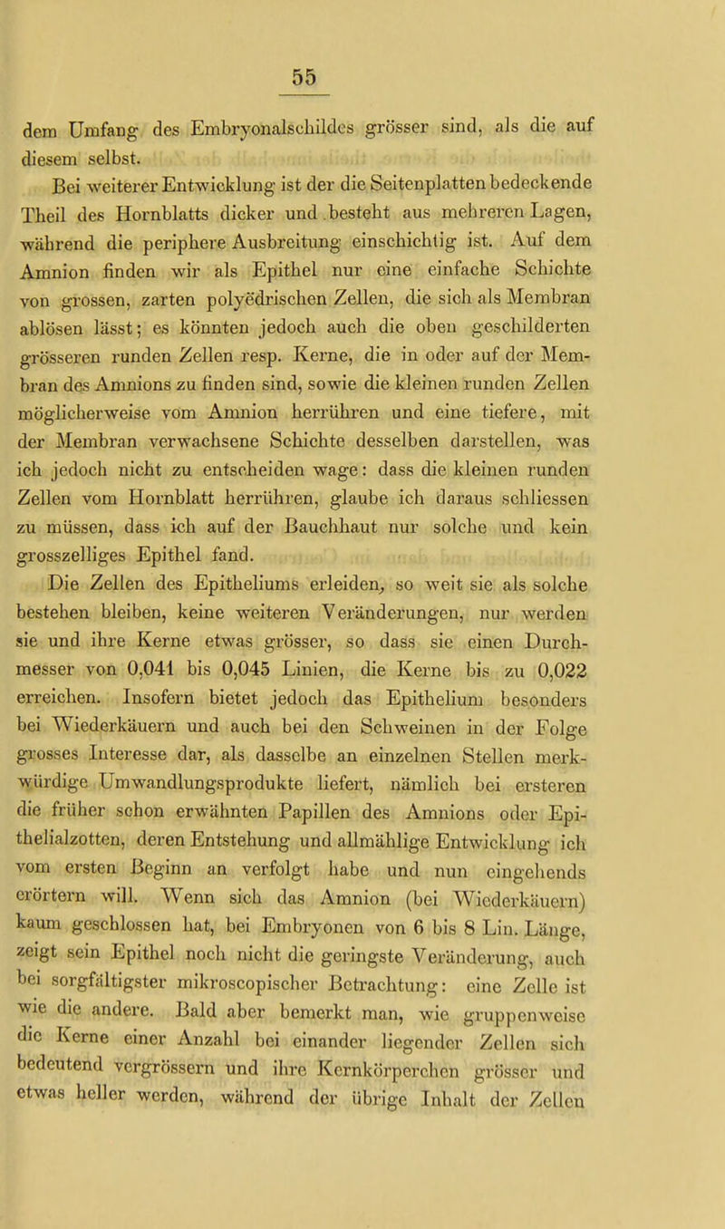 dem Umfang des Embryonalschildcs grösser sind, als die auf diesem selbst. Bei weiterer Entwicklung ist der die Seitenplatten bedeckende Theil des Hornblatts dicker und .besteht aus mehreren Lagen, während die periphere Ausbreitung einschichtig ist. Auf dem Amnion finden wir als Epithel nur eine einfache Schichte von grossen, zarten polyedrischen Zellen, die sich als Membran ablösen lässt; es könnten jedoch auch die oben geschilderten grösseren runden Zellen resp. Kerne, die in oder auf der Mem- bran des Amnions zu finden sind, sowie die kleinen runden Zellen möglicherweise vom Amnion herrühren und eine tiefere, mit der Membran verwachsene Schichte desselben darstellen, w^as ich jedoch nicht zu entscheiden wage: dass die kleinen runden Zellen vom Hornblatt herrühren, glaube ich daraus schliessen zu müssen, dass ich auf der Bauchhaut nur solche und kein grosszelliges Epithel fand. Die Zellen des Epitheliums erleiden^ so weit sie als solche bestehen bleiben, keine weiteren Veränderungen, nur werden sie und ihre Kerne etwas grösser, so dass sie einen Durch- messer von 0,041 bis 0,045 Linien, die Kerne bis zu 0,022 erreichen. Insofern bietet jedoch das EpitheHum besonders bei Wiederkäuern und auch bei den Schweinen in der Folge grosses Interesse dar, als dasselbe an einzelnen Stellen merk- würdige Umwandlungsprodukte liefert, nämlich bei ersteren die früher schon erwähnten Papillen des Amnions oder Epi- thelialzotten, deren Entstehung und allmählige Entwicklung ich vom ersten Beginn an verfolgt habe und nun cingehends erörtern will. Wenn sich das Amnion (bei Wiederkäuern) kaum geschlossen hat, bei Embryonen von 6 bis 8 Lin. Länge, zeigt sein Epithel noch nicht die geringste Veränderung, auch bei sorgfältigster mikroscopischer Betrachtung: eine Zelle ist wie die andere. Bald aber bemerkt man, wie gruppenweise die Kerne einer Anzahl bei einander liegender Zellen sich bedeutend vcrgrössern und ihre Kernkörperchen grösser und etwas heller werden, während der übrige Inhalt der Zellen
