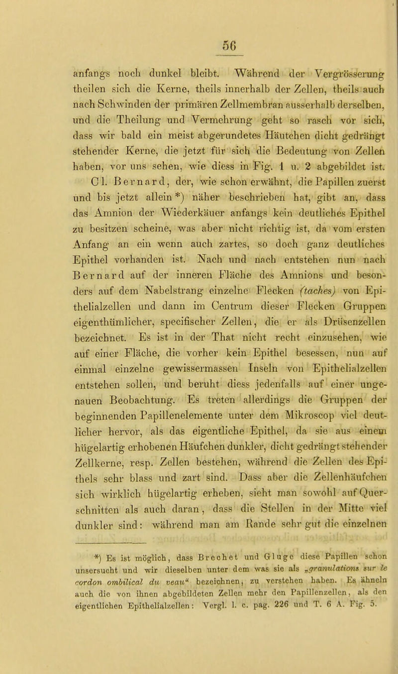 anfangs noch dunkel bleibt. Während der Vergi'össemng theilen sich die Kerne, theils innerhalb der Zellen, theils auch nach Schwinden der primären Zellmembran ausserhalb derselben, und die Theilung und Vermehrung geht so rasch vor sich, dass wir bald ein meist abgerundetes Häutchen dicht gedrängt stehender Kerne, die jetzt für sich die Bedeutung von Zellen haben, vor uns sehen, wie diess in Fig. 1 u. 2 abgebildet ist. Cl. Bernard, der, wie schon erwähnt, die Papillen zuerst und bis jetzt allein *) näher beschrieben hat, gibt an, dass das Amnion der Wiederkäuer anfangs kein deutliches Epithel zu besitzen scheine, was aber nicht richtig ist, da vom ersten Anfang an ein wenn auch zartes, so doch ganz deutliches Epithel vorhanden ist. Nach und nach entstehen nun nach Bernard auf der inneren Fläche des Amnions und beson- ders auf dem Nabelstrang einzelne Flecken (taches) von Epi- thelialzellen und dann im Centrum dieser Flecken Gruppen eigenthümlicher, specifischer Zellen, die er als Drüsenzellen bezeichnet. Es ist in der That nicht recht einzusehen, wie auf einer Fläche, die vorher kein Epithel besessen, nun auf einmal einzelne gewissermassen Inseln von Epithelialzellen entstehen sollen, und beruht diess jedenfalls auf einer unge- nauen Beobachtung. Es treten allerdings die Gruppen der beginnenden Papillenelemente unter dem Mikroscop viel deut- licher hervor, als das eigentliche Epithel, da sie aus einem hügelartig erhobenen Häufchen dunkler, dicht gedrängt stehender Zellkerne, resp. Zellen bestehen, während die Zellen des Epi- thels sehr blass und zart sind. Dass aber die Zellenhäufcheu sich wirklich hügelartig erheben, sieht man sowohl auf Quer- schnitten als auch daran, dass die Stellen in der Mitte viel dunkler sind: während man am Rande sehr gut die einzelnen *) Es ist möglich, dass Brechet und Gluge diese Papillen schon unaersuoht und wir dieselben unter dem was sie als „gramilatiom sur le cordon ombilical du veau bezeichnen, zu verstehen haben. Es ähneln auch die -von ihnen abgebildeten Zellen mehr den Papillenzellen, als den eigentlichen Epithelialzellen: Vergl. 1. c. pag. 226 und T. 6 A. Fig. 5.