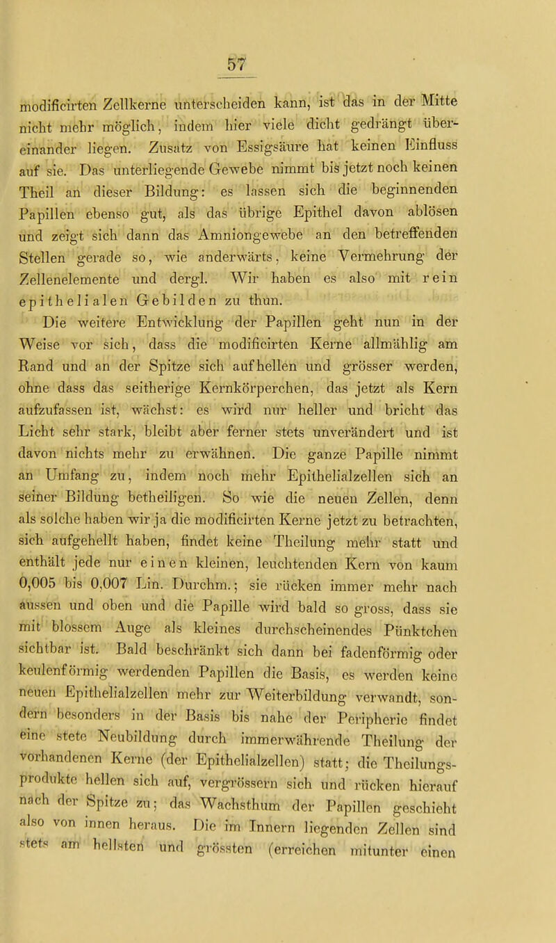 ^7 modificirten Zellkerne unterscheiden kann, ist das in der Mitte nicht mehr möglich, indem hier viele dicht gedrängt über- einander liegen. Zusatz von Essigsäin-e hat keinen Einfluss auf sie. Das unterliegende Gewebe nimmt bis jetzt noch keinen Theil an dieser Bildung: es lassen sich die beginnenden Papillen ebenso gut, als das übrige Epithel davon ablösen und zeigt sich dann das Amniongewebe an den betreffenden Stellen gerade so, wie anderwärts, keine Vermehrung der Zellenelemente und dergl. Wir haben es also' mit rein epithelialen Grebilden zu thun. Die weitere Entwicklung der Papillen geht nun in der Weise vor sich, dass die modificirten Kerne allmählig am Rand und an der Spitze sich aufhellen und grösser werden, ohne dass das seitherige Kernkörperchen, das jetzt als Kern aufzufassen ist, wächst: es wird nur heller und bricht das Licht sehr stark, bleibt aber ferner stets unverändert und ist davon nichts mehr zu erwähnen. Die ganze Papille nimmt an Umfang zu, indem noch mehr Epithelialzellen sich an seiner Bildung betheiligen. So wie die neuen Zellen, denn als solche haben wir ja die modificirten Kerne jetzt zu betrachten, sich aufgehellt haben, findet keine Theilung mehr statt und enthält jede nur einen kleinen, leuchtenden Kern von kaum 0,005 bis 0,007 Lin. Durchm.; sie rücken immer mehr nach aussen und oben und die Papille wird bald so gross, dass sie mit blossem Auge als kleines durchscheinendes Pünktchen sichtbar ist. Bald beschränkt sich dann bei fadenförmig oder keulenförmig werdenden Papillen die Basis, es werden keine neuen Epithelialzellen mehr zur Weiterbildung verwandt, son- dern besonders in der Basis bis nahe der Pei-ipheric findet eine stete Neubildung durch immerwährende Theilung der vorhandenen Kerne (der Epithelialzellen) statt; die Theilungs- produktc hellen sich auf, vergrössern sich und rücken hierauf nach der Spitze zu; das Wachsthum der Papillen geschieht also von innen heraus. Die im Innern liegenden Zellen sind stets am hellsten und grössten (erreichen mitunter einen