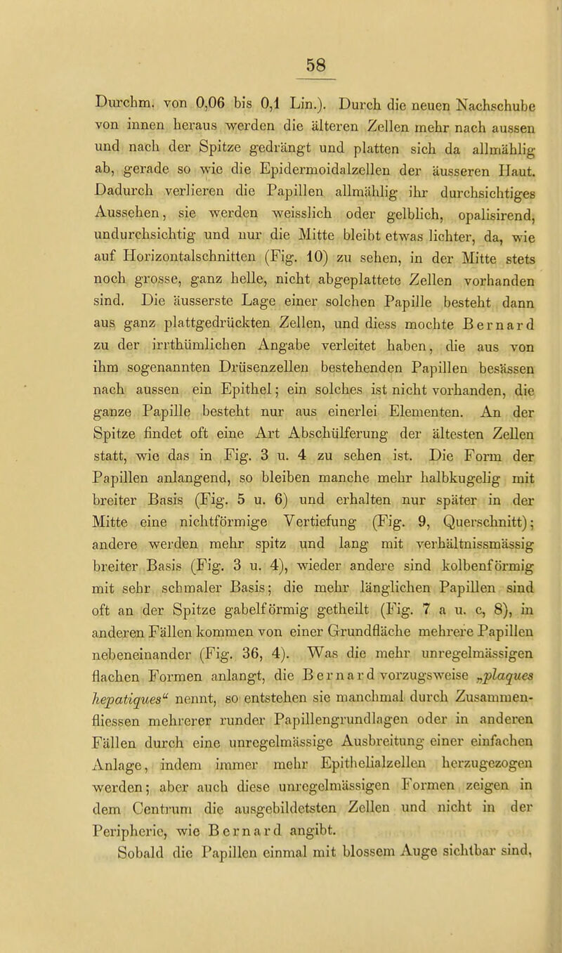 Diu'chm. von 0,06 bis 0,1 Lin.). Durcli die neuen Nachschübe von innen hei-aus werden die älteren Zellen mehr nach aussen und nach der Spitze gedrängt und platten sich da allniählig ab, gerade so wie die Epidermoidalzellen der äusseren Haut. Dadurch verlieren die Papillen allmählig ihr durchsichtiges Aussehen, sie werden weisslich oder gelbhch, opalisirend, undurchsichtig und nur die Mitte bleibt etwas lichter, da, wie auf Horizontalschnitten (Fig. 10) zu sehen, in der Mitte stets noch grosse, ganz helle, nicht abgeplattete Zellen vorhanden sind. Die äusserste Lage einer solchen Papille besteht dann aus ganz plattgedrückten Zellen, und diess mochte Bernard zu der irrthümlichen Angabe verleitet haben, die aus von ihm sogenannten Drüsenzelleu bestehenden Papillen besHssen nach aussen ein Epithel; ein solches ist nicht vorhanden, die ganze Papille besteht nur aus einerlei Elementen. An der Spitze findet oft eine Art Abschülferung der ältesten Zellen statt, wie das in Fig. 3 u. 4 zu sehen ist. Die Form der Papillen anlangend, so bleiben manche mehr halbkugelig mit breiter Basis (Fig. 5 u. 6) und erhalten nur später in der Mitte eine nichtförmige Vertiefung (Fig. 9, Querschnitt); andere werden mehr spitz und lang mit A'erhältnissmässig breiter Basis (Fig. 3 u. 4), wieder andere sind kolbenförmig mit sehr schmaler Basis; die mehr länglichen Papillen sind oft an der Spitze gabelförmig getheilt (Fig. 7 a u. c, 8), in anderen Fällen kommen von einer Grundfläche mehrere Papillen nebeneinander (Fig. 36, 4). Was die mehr unregelmässigen flachen Formen anlangt, die B e r n a r d vorzugsweise „plaques hepatiques nennt, so entstehen sie manchmal durch Zusammen- fliessen mehrerer runder Papillengrundlagen oder in anderen Fällen durch eine unregelmässige Ausbreitung einer einfachen Anlage, indem immer mehr Epithelialzellen herzugezogen werden; aber auch diese unregelmUssigen Formen zeigen in dem Centi'um die ausgebildctsten Zellen und nicht in der Peripherie, wie Bernard angibt. Sobald die Papillen einmal mit blossem Auge sichtbar sind,