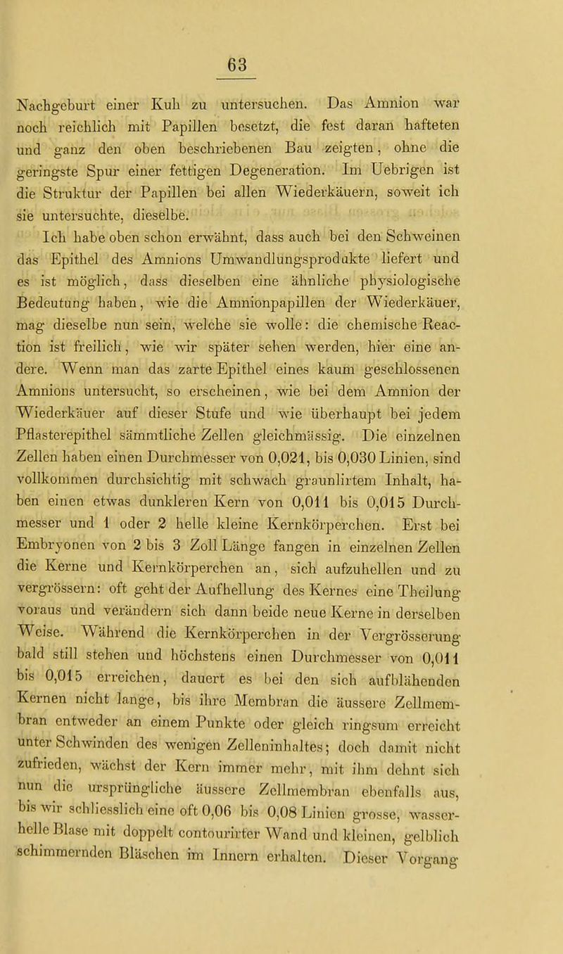 Nachgeburt einer Kuli zu untersuchen. Das Amnion war noch reichlich mit Papillen besetzt, die fest daran hafteten und ganz den oben beschriebenen Bau zeigten, ohne die geringste Spur einer fettigen Degeneration. Im Uebrigen ist die Struktur der Papillen bei allen Wiederkäuern, soweit ich sie untersuchte, dieselbe. Ich habe oben schon erwähnt, dass auch bei den Schweinen das Epithel des Amnions Umwandlungsprodakte liefert und es ist möglich, dass dieselben eine ähnliche physiologische Bedeutung haben, wie die Amnionpapillen der Wiederkäuer, mag dieselbe nun sein, welche sie wolle: die chemische Reac- tion ist freilich, wie wir später sehen werden, hier eine an- dere. Wenn man das zarte Epithel eines kaum geschlossenen Amnions untersucht, so erscheinen, wie bei dem Amnion der Wiederkäuer auf dieser Stufe und wie überhaupt bei jedem Pflasterepithel sämmtliche Zellen gleichmässig. Die einzelnen Zellen haben einen Durchmesser von 0,021, bis 0,030 Linien, sind vollkommen durchsichtig mit schwach graunlirtem Inhalt, ha- ben einen etwas dunkleren Kern von 0,011 bis 0,015 Durch- messer und 1 oder 2 helle kleine Kernkörperchen. Erst bei Embryonen von 2 bis 3 Zoll Länge fangen in einzelnen Zellen die Kerne und Kernkörperchen an, sich aufzuhellen und zu vergrössern: oft geht der Aufhellung des Kernes eineTheilung voraus und verändern sich dann beide neue Kerne in derselben Weise. Während die Kernkörperchen in der Vergrösserung bald still stehen und höchstens einen Durchmesser von 0,011 bis 0,015 erreichen, dauert es bei den sich aufblähenden Kernen nicht lange, bis ihre Membran die äussere Zellmem- bran entweder an einem Punkte oder gleich ringsum erreicht unter Schwinden des wenigen Zelleninhaltes; doch damit nicht zufrieden, wächst der Kern immer mehr, mit ibm dehnt sich nun die ursprüngliche äussere Zellmembran ebenfalls aus, bis wir schliesslich eine oft 0,06 bis 0,08 Linien grosse, wasser- helle Blase mit doppölt contourirter Wand und kleinen, gelblich schimmernden Bläschen im Innern erhalten. Dieser Vorgang