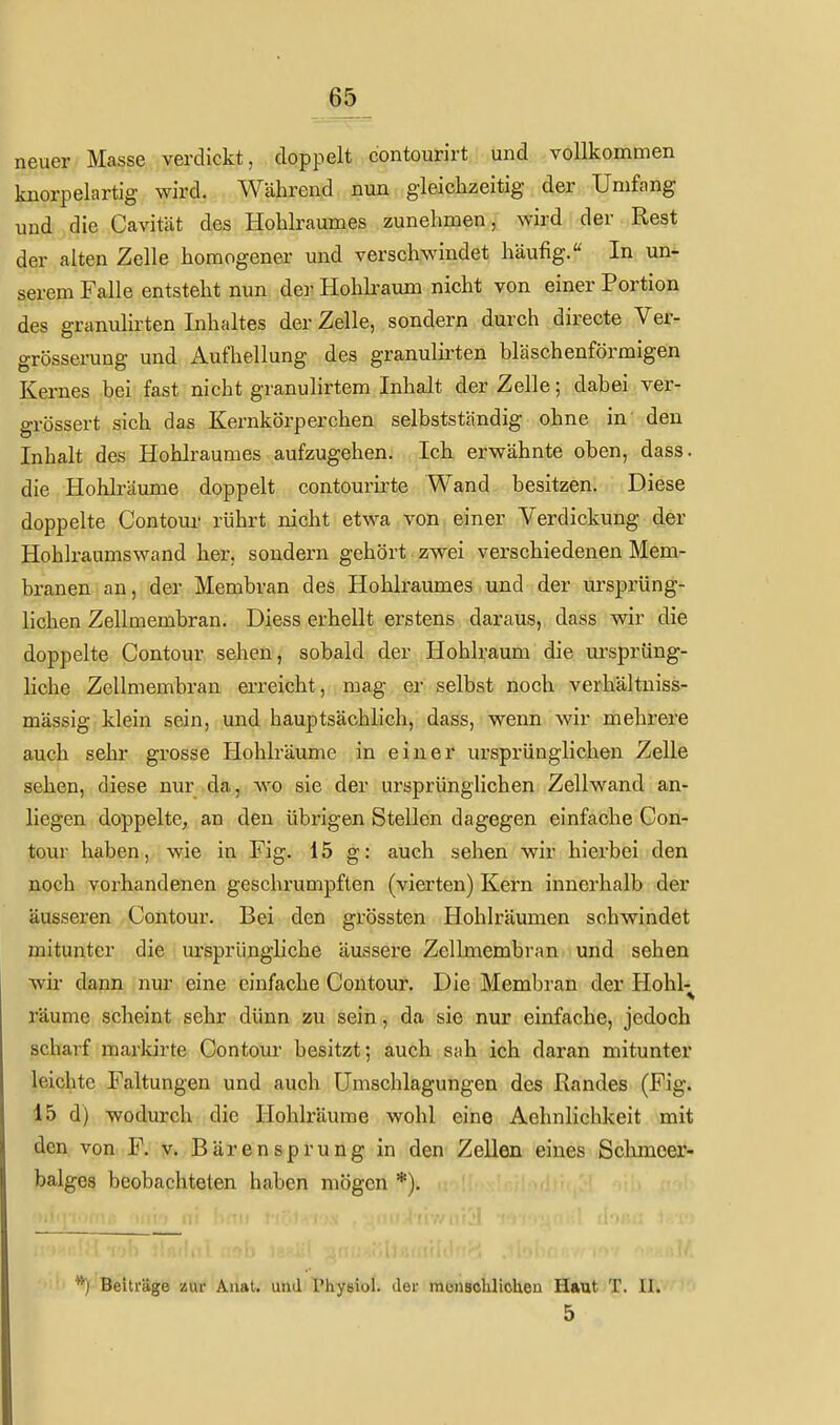 neuer Masse verdickt, doppelt contourirt und vollkommen knorpelartig wird. Während nun gleichzeitig der Umfang und die Cavität des Hohlraumes zunehmen, wird der Rest der alten Zelle homogener und verschwindet häufig. In un^ serem Falle entsteht nun der Hohkaum nicht von einer Portion des granulirten Inhaltes der Zelle, sondern durch directe Ver- grösserung und Aufhellung des granulh'ten bläschenförmigen Kernes bei fast nicht granulirtem Inhalt der Zelle; dabei ver- grössert sich das Kernkörperchen selbstständig ohne in den Inhalt des Hohlraumes aufzugehen. Ich erwähnte oben, dass. die Hohbäume doppelt contourirte Wand besitzen. Diese doppelte Contoui- rührt nicht etwa von einer Verdickung der Hohlraumswand her, sondern gehört zwei verschiedenen Mem- branen an, der Membran des Hohlraumes und der ursprüng- lichen Zellmembran. Diess erhellt erstens daraus, dass wir die doppelte Contour sehen, sobald der Hohlraum die ursprüng- liche Zellmembran erreicht, mag er selbst noch verhältniss- mässig klein sein, und hauptsächlich, dass, wenn wir mehrere auch sehr grosse Hohlräume in einer ursprünglichen Zelle sehen, diese nur da, wo sie der ursprünglichen Zellwand an- liegen doppelte, an den übrigen Stellen dagegen einfache Con- tour haben, wie in Fig. 15 g: auch sehen wir hierbei den noch vorhandenen geschrumpften (vierten) Kern innerhalb der äusseren Contour. Bei den grössten Hohlräumen schwindet mitunter die ursprüngliche äussere Zellmembran und sehen wir dann nur eine einfache Contour. Die Membran der Hohl-^ räume scheint sehr dünn zu sein, da sie nur einfache, jedoch scharf marldrte Contour besitzt; auch sah ich daran mitunter leichte Faltungen und auch Umschlagungen des Randes (Fig. 15 d) wodurch die Hohlräume wohl eine Aehnlichkeit mit den von F. v. Bärensprung in den Zellen eines Schmcer- balges beobachteten haben mögen *). *J Beiträge zur Auat. und fhyeial. der raonschlicUen Haut T. II. 5
