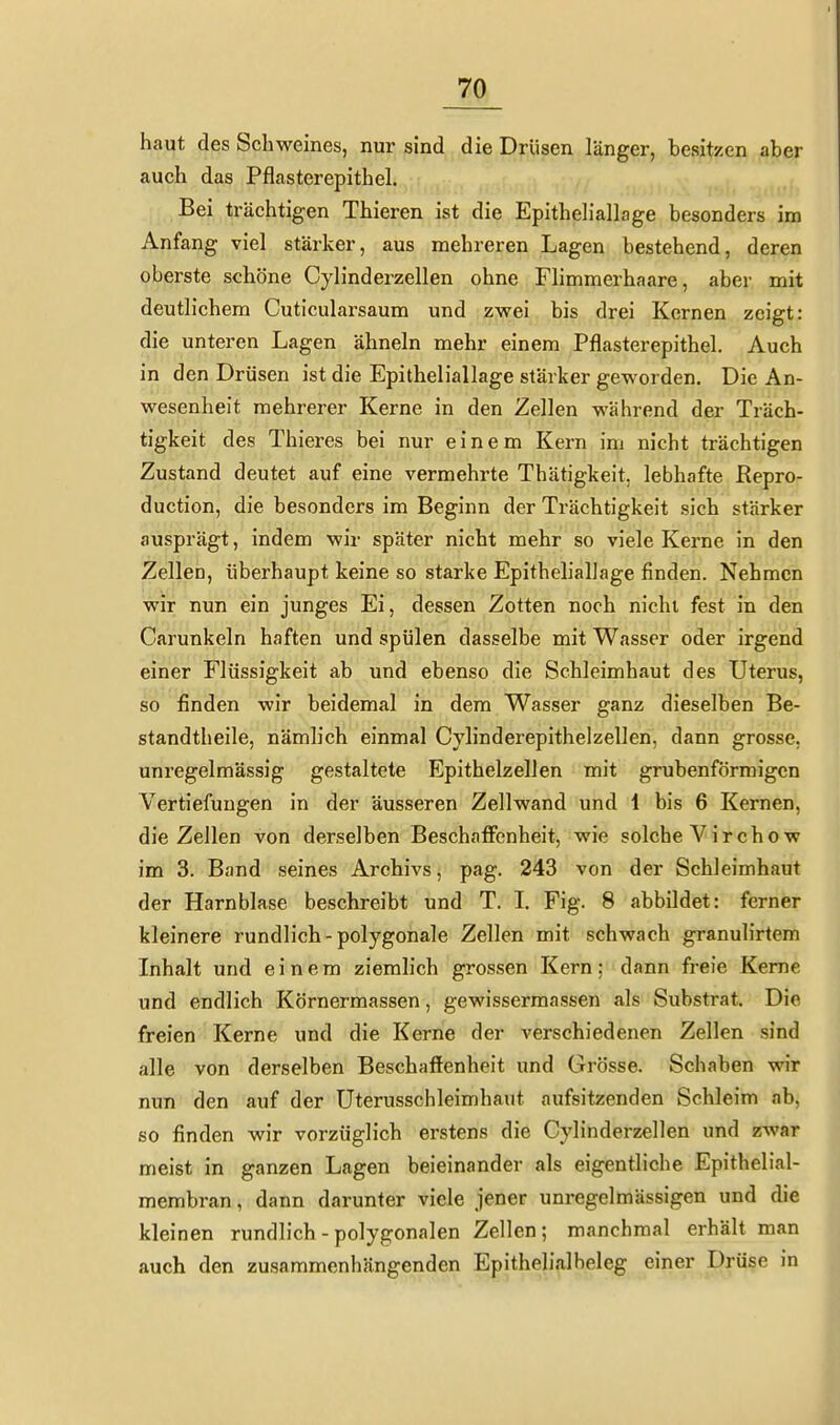 haut des Schweines, nur sind die Drlisen länger, besitzen aber auch das Pflasterepithel. Bei trächtigen Thieren ist die Epitheliallage besonders im Anfang viel stärker, aus mehreren Lagen bestehend, deren oberste schöne Cylinderzellen ohne Flimmerhaare, aber mit deutlichem Cuticularsaum und zwei bis drei Kernen zeigt: die unteren Lagen ähneln mehr einem Pflasterepithel. Auch in den Drüsen ist die Epitheliallage stärker geworden. Die An- wesenheit mehrerer Kerne in den Zellen während der Träch- tigkeit des Thieres bei nur einem Kern im nicht trächtigen Zustand deutet auf eine vermehrte Thätigkeit, lebhafte ßepro- duction, die besonders im Beginn der Trächtigkeit sich stärker ausprägt, indem wir später nicht mehr so viele Kerne in den Zellen, überhaupt keine so starke Epitheliallage finden. Nehmen wir nun ein junges Ei, dessen Zotten noch nicht fest in den Carunkeln haften und spülen dasselbe mit Wasser oder irgend einer Flüssigkeit ab und ebenso die Schleimhaut des Uterus, so finden wir beidemal in dem Wasser ganz dieselben Be- standtheile, nämlich einmal Cylinderepithelzellen, dann grosse, unregelmässig gestaltete Epithelzellen mit grubenförmigen Vertiefungen in der äusseren Zellwand und 1 bis 6 Kernen, die Zellen von derselben Beschaffenheit, wie solche Virchow im 3. Band seines Archivs, pag. 243 von der Schleimhaut der Harnblase beschreibt und T. L Fig. 8 abbildet: ferner kleinere rundlich-polygonale Zellen mit schwach granulirtem Inhalt und einem ziemlich grossen Kern: dann freie Kerne und endlich Körnermassen, gewissermassen als Substrat. Die freien Kerne und die Kerne der verschiedenen Zellen sind alle von derselben Beschaffenheit und Grösse. Schaben wir nun den auf der Uterusschleimhaut aufsitzenden Schleim nb, so finden wir vorzüglich erstens die Cylinderzellen und zwar meist in ganzen Lagen beieinander als eigentliche Epithelial- membran, dann darunter viele jener unregelmässigen und die kleinen rundlich - polygonalen Zellen ; manchmal erhält man auch den zusammenhängenden Epithelialbeleg einer Drüse in