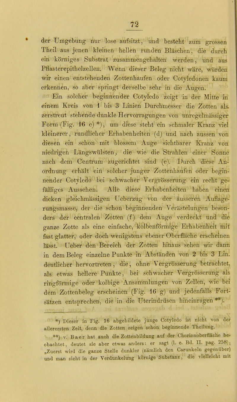 der Umgebung nur lose aufsitzt, und besteht zum grossen Theil aus jenen kleinen hellen runden Bläschen, die durch ein körniges Substrat zusammengehalten werden, und aus Pflasterepithelzellen. Wenn dieser Beleg nicht wäre, würden wir einen entstehenden Zottenhaufen oder Cotyledonen kaum erkennen, so aber springt derselbe sehr in die Augen. «niEin solcher beginnender Cotyledo zeigt in der Mitte in einem Kreis von 1 bis 3 Linien Durchmesser die Zotten als zerstreut stehende dunkle Hervorragungen von um-egelmässiger Form (Fig. 16 c) *), um diese steht ein schmaler Kranz viel kleinerer, rundlicher Erhabenheiten (d) und nach aussen von diesen ein schon mit blossem Auge sichtbarer Ki-anz von niedrigen Längswülsten^ die wie die Strahlen einer Sonne nach dem Centrum zugerichtet sind (e). Durch diese An- ordnung erhält ein solcher junger Zottenhaufen oder begin- nender Cotyledo bei schwacher Vergrösserung ein recht ge- fälliges Aussehen. Alle diese Erhabenheiten haben einen dicken gleichmässigen Ueberzug von der äusseren Auflage- rungsmasse, der die schon beginnenden Verästelungen beson- ders der centralen Zotten (f) dem Auge verdeckt und die ganze Zotte als eine einfache, kolbenförmige Erhabenheit mit fast glatter, oder doch wenigstens ebener Oberfläche erscheinen lässt. üeber den Bereich der Zotten hinaus sehen wii' dann in dem Beleg einzelne Punkte in Abständen von 2 bis 3 Lin. deutlicher hervortreten, die, ohne Vergrösserung betrachtet, als etwas hellere Punkte, bei schwacher Vergrösserung als ringförmige oder kolbige Ansammlungen von Zellen, wie bei dem Zottenbeleg erscheinen (Fig. 16 g) und jedenfalls Fort- sätzen entsprechen, die in die Uterindrüsen hineinragen **). *) Dieser in Fig. 16 abgebildete junge Cotyledo ist nicht von der allerersten Zeit, denn die Zotten zeigen schon beginnende TheUung. **) V. Baer hat auch die Zottenbildung auf der Chorionoberfläche be- obachtet, deutet sie aber etwas anders: er sagt (1. c. Bd. II. pag. 258); „Zuerst wird die ganze Stelle dunkler (nämlich den Carunkeln gegenüber) und man sieht in der Verdunkelung körnige Substanz, die Tielleicht mit