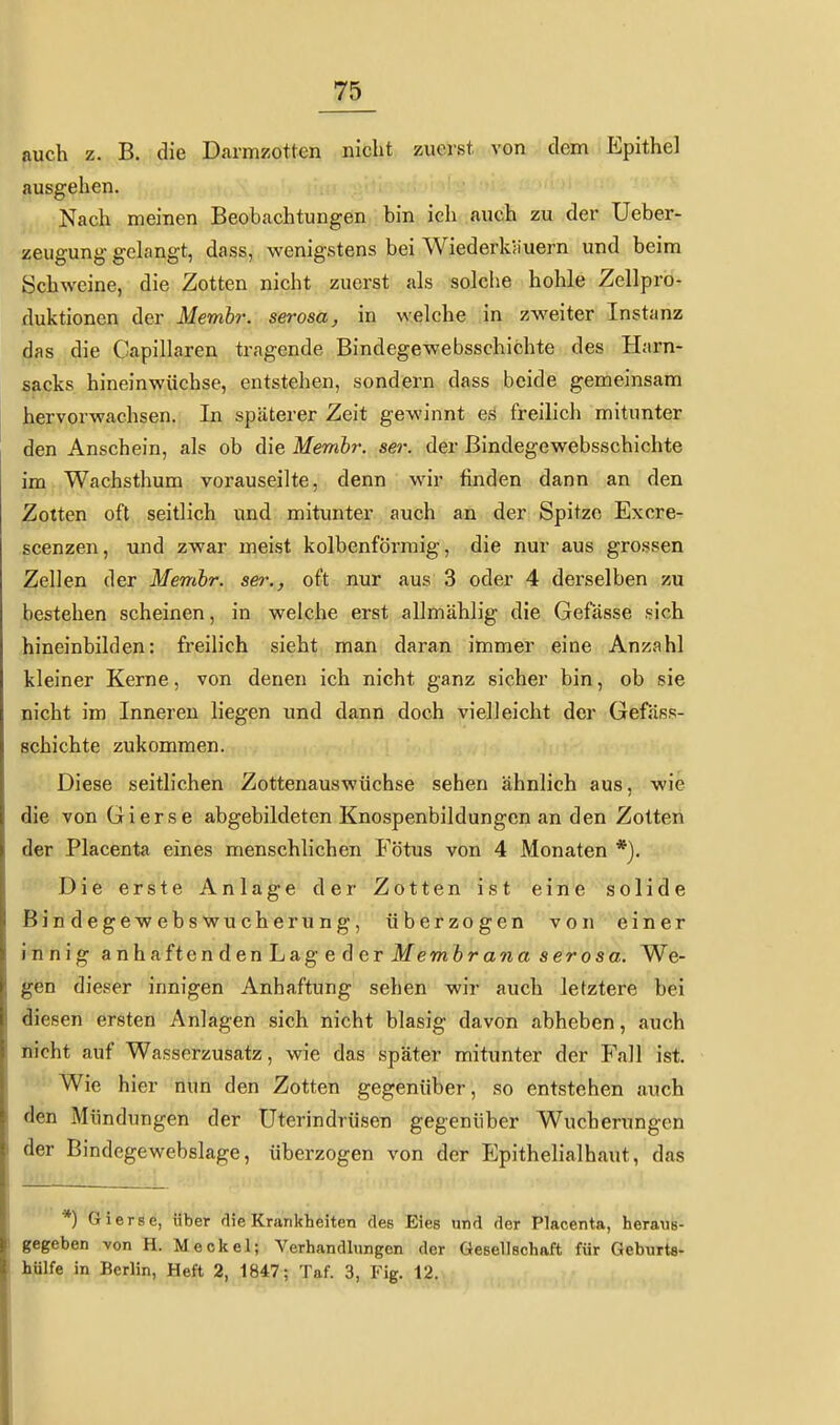 auch z. B. die Darmzotten nicht zuerst von dem Epithel ausgehen. Nach meinen Beobachtungen bin ich auch zu der Ueber- zeugung gehängt, dass, wenigstens bei Wiederkiiuern und beim Schweine, die Zotten nicht zuerst als solche hohle Zellpro- duktionen der Membr. serosa, in welche in zweiter Instanz das die Capillaren tragende Bindegewebsschichte des Harn- sacks hineinwüchse, entstehen, sondern dass beide gemeinsam hervorwachsen. In späterer Zeit gewinnt es freilich mitunter den Anschein, als ob die Membr. ser. der Bindegewebsschichte im Wachsthum vorauseilte, denn wir finden dann an den Zotten oft seitlich und mitimter auch an der Spitze Excre- scenzen, und zwar meist kolbenförmig, die nur aus grossen Zellen der Membr. sei'., oft nur aus 3 oder 4 derselben zu bestehen scheinen, in welche erst allmählig die Gefässe sich hineinbilden: freilich sieht man daran immer eine Anzahl kleiner Kerne, von denen ich nicht ganz sicher bin, ob sie nicht im Inneren liegen imd dann doch vielleicht der Geföss- schichte zukommen. Diese seitlichen Zottenauswüchse sehen ähnlich aus, wie die von Gierse abgebildeten Knospenbildungen an den Zotten der Placenta eines menschlichen Fötus von 4 Monaten *). Die erste Anläge der Zotten ist eine solide Bindegewebswucherung, überzogen von einer innig anhaften den Lag e d er MewiferaOT« serosa. We- gen dieser innigen Anhaftung sehen wir auch letztere bei diesen ersten Anlagen sich nicht blasig davon abheben, auch nicht auf Wasserzusatz, wie das später mitunter der Fall ist. Wie hier nun den Zotten gegenüber, so entstehen auch den Mündungen der Uterindrüsen gegenüber Wucherungen der Bindegewebslage, überzogen von der Epithelialhaut, das ) Grierse, über flie Krankheiten des Eies und der Placenta, heraus- gegeben von H. Meckel; Verhandlungen der Gesellschaft für Geburta- hülfe in Berlin, Heft 2, 1847; Taf. 3, Fig. 12.